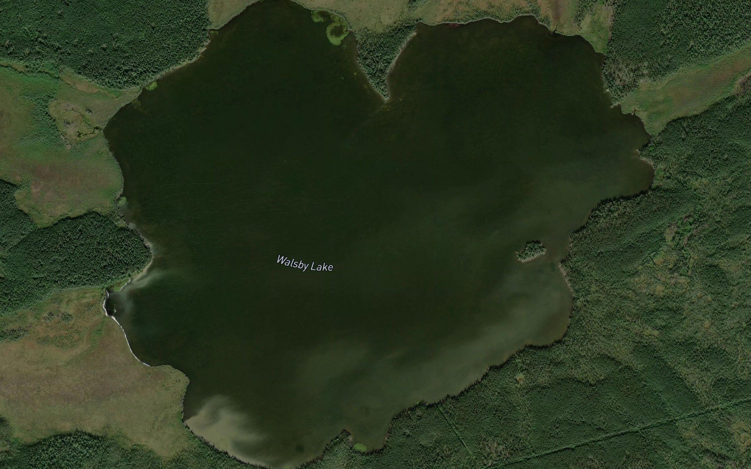 Walsby Lake