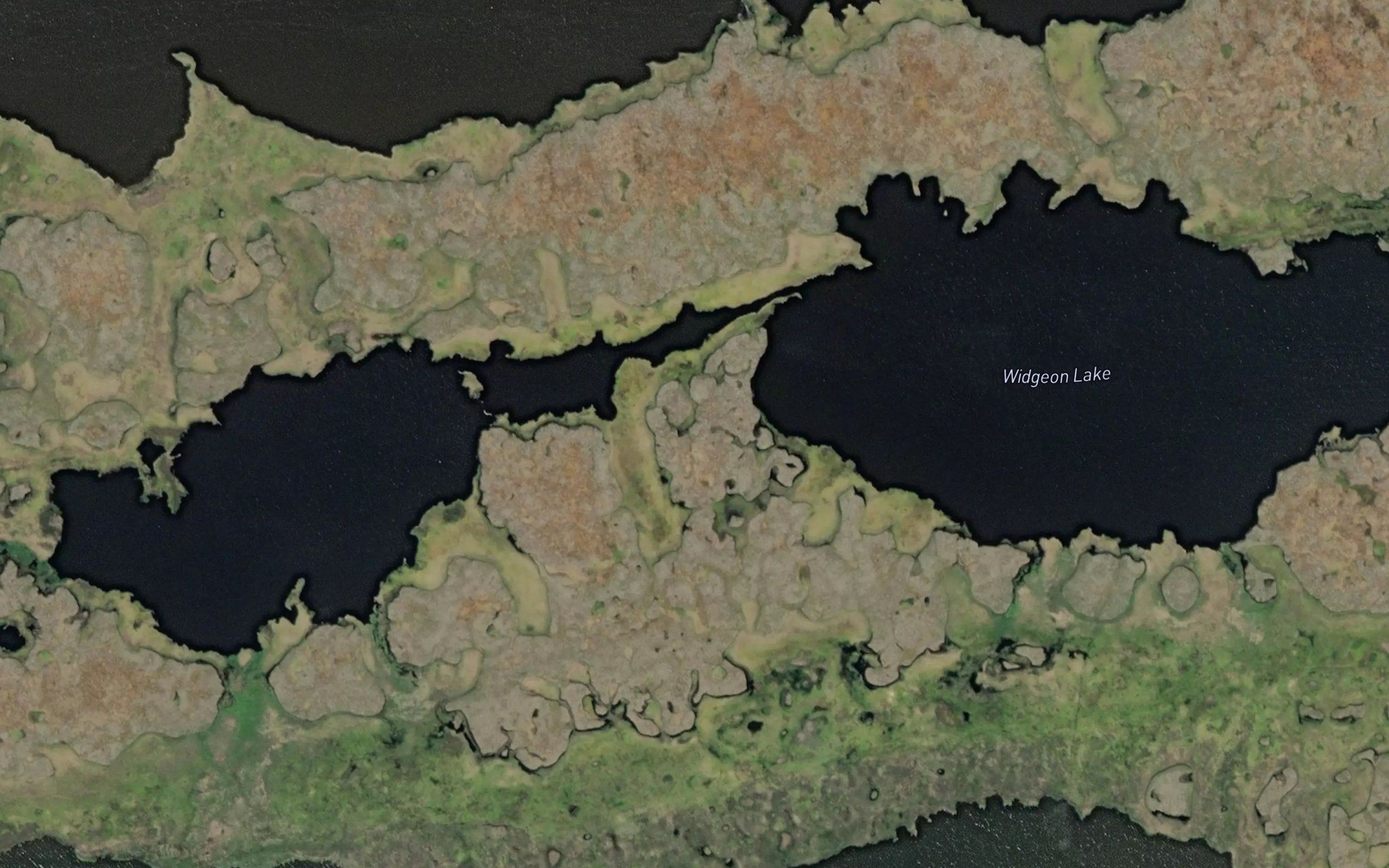Widgeon Lake