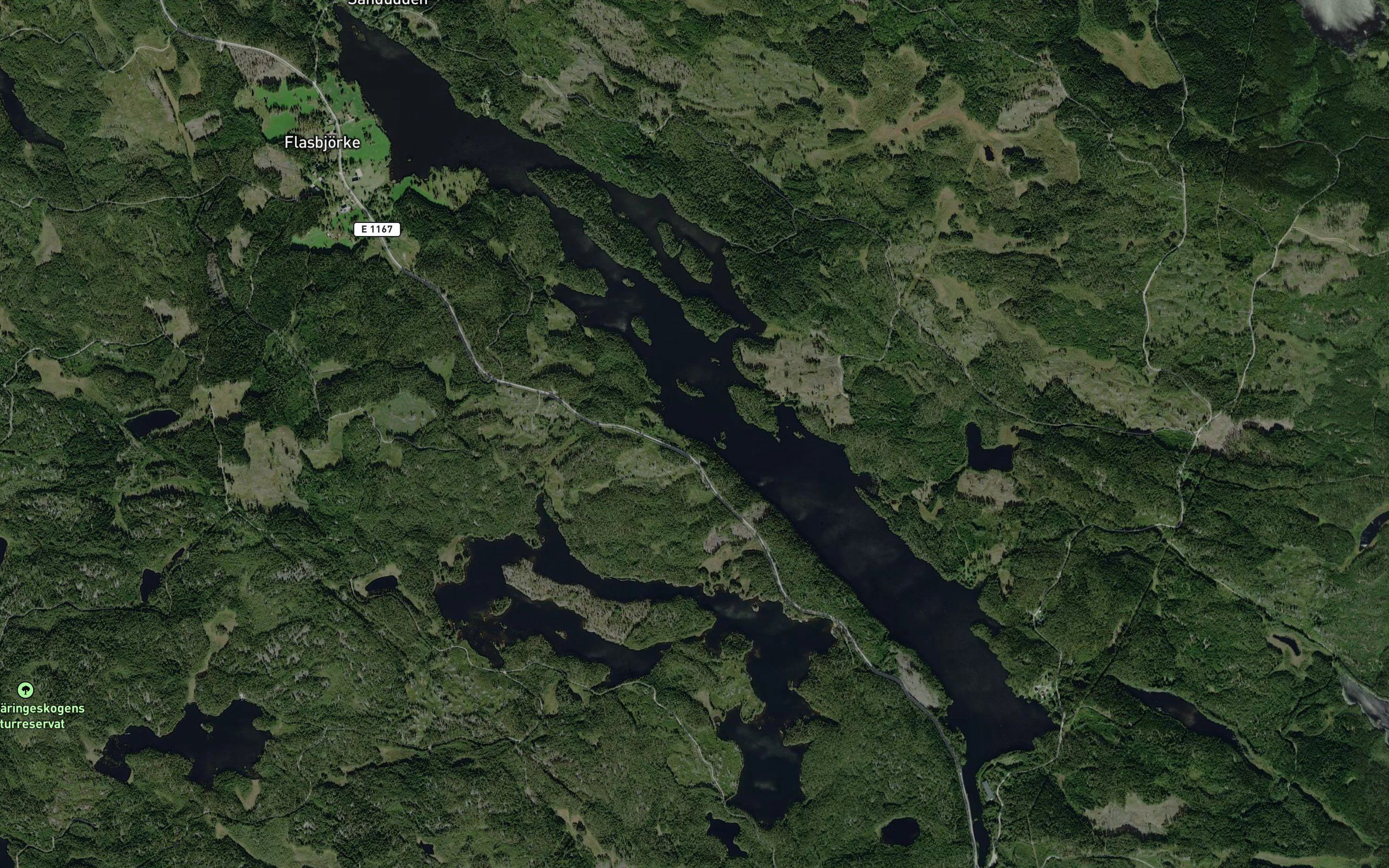 Ormlangen