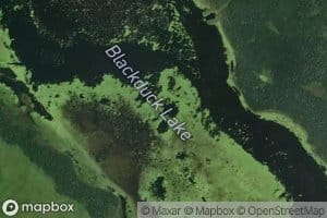 Blackduck Lake