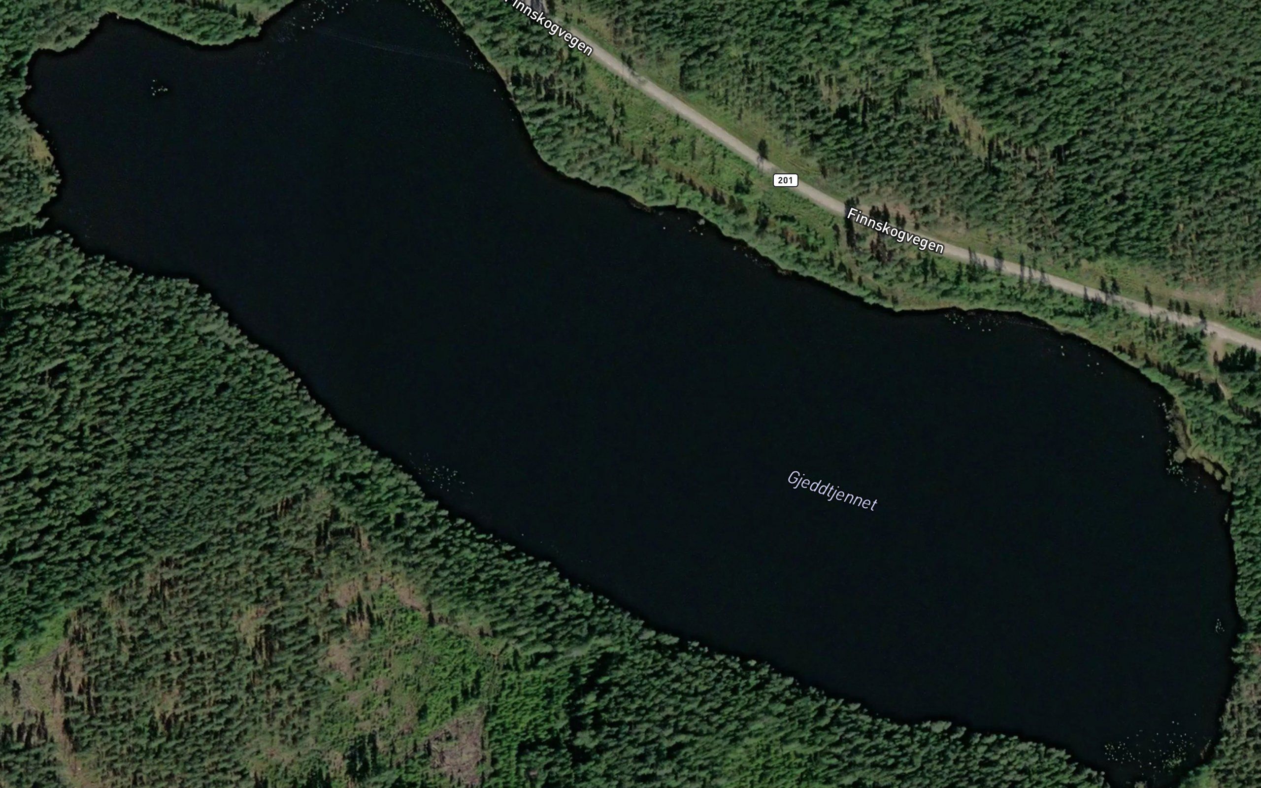 Gjedtjennet