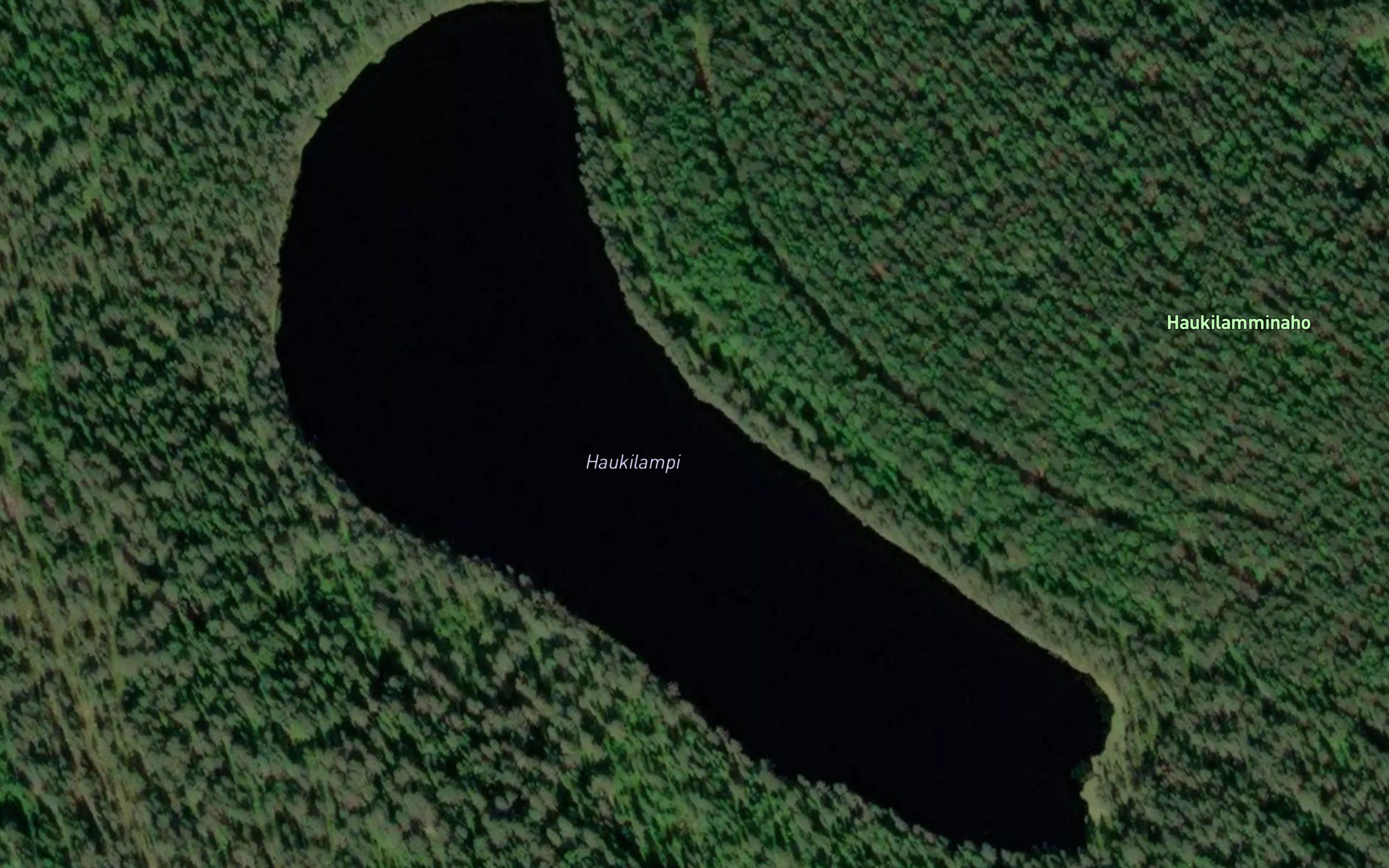 Haukilampi