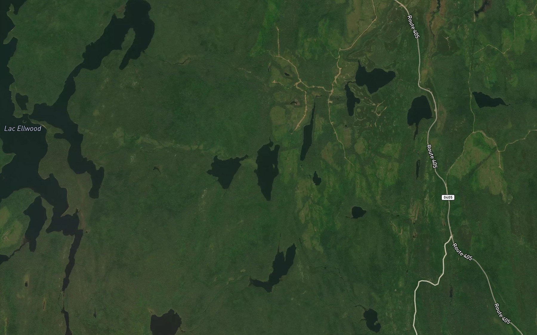 Satellite map of the Lac Carol