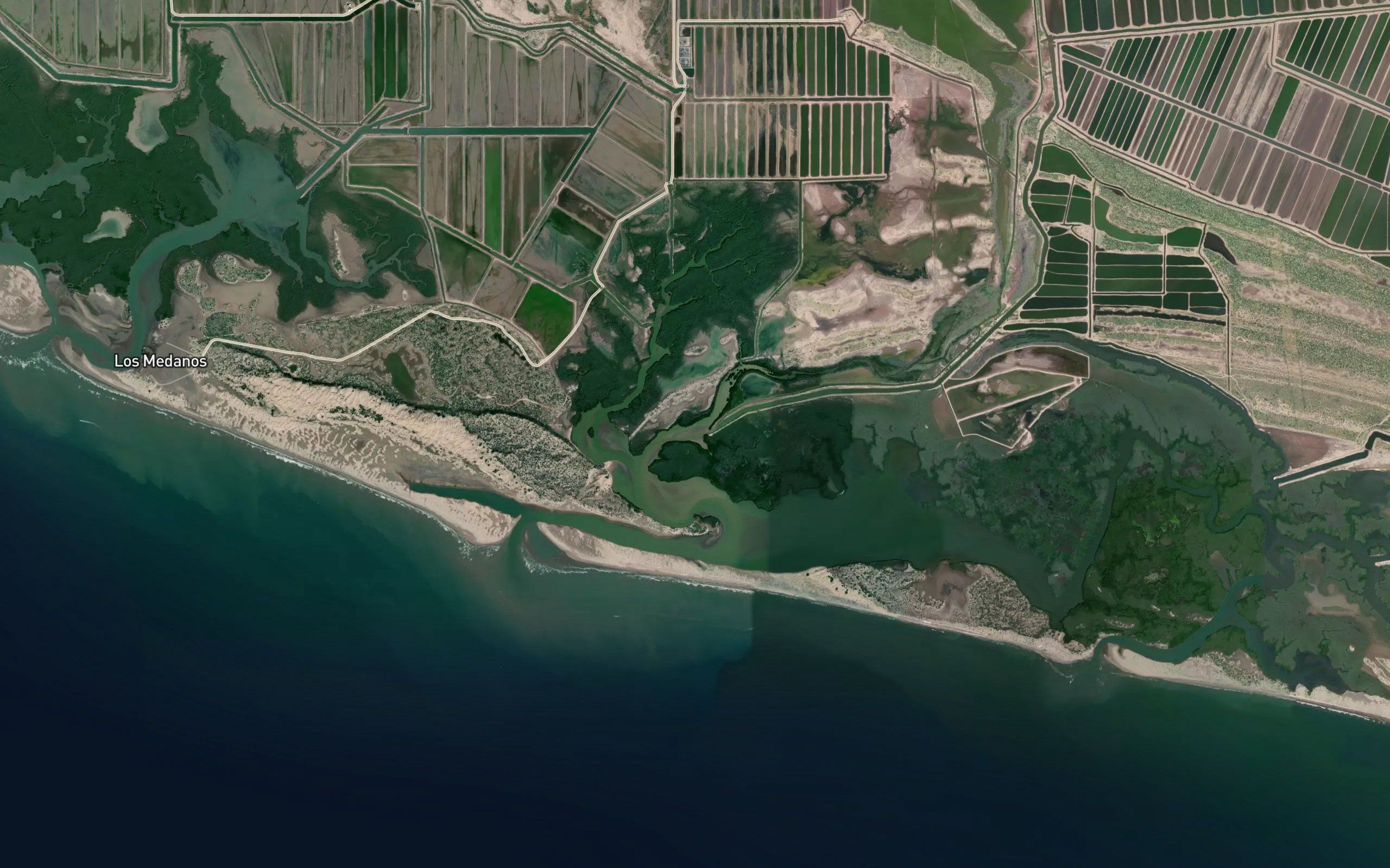 Estero Techoa