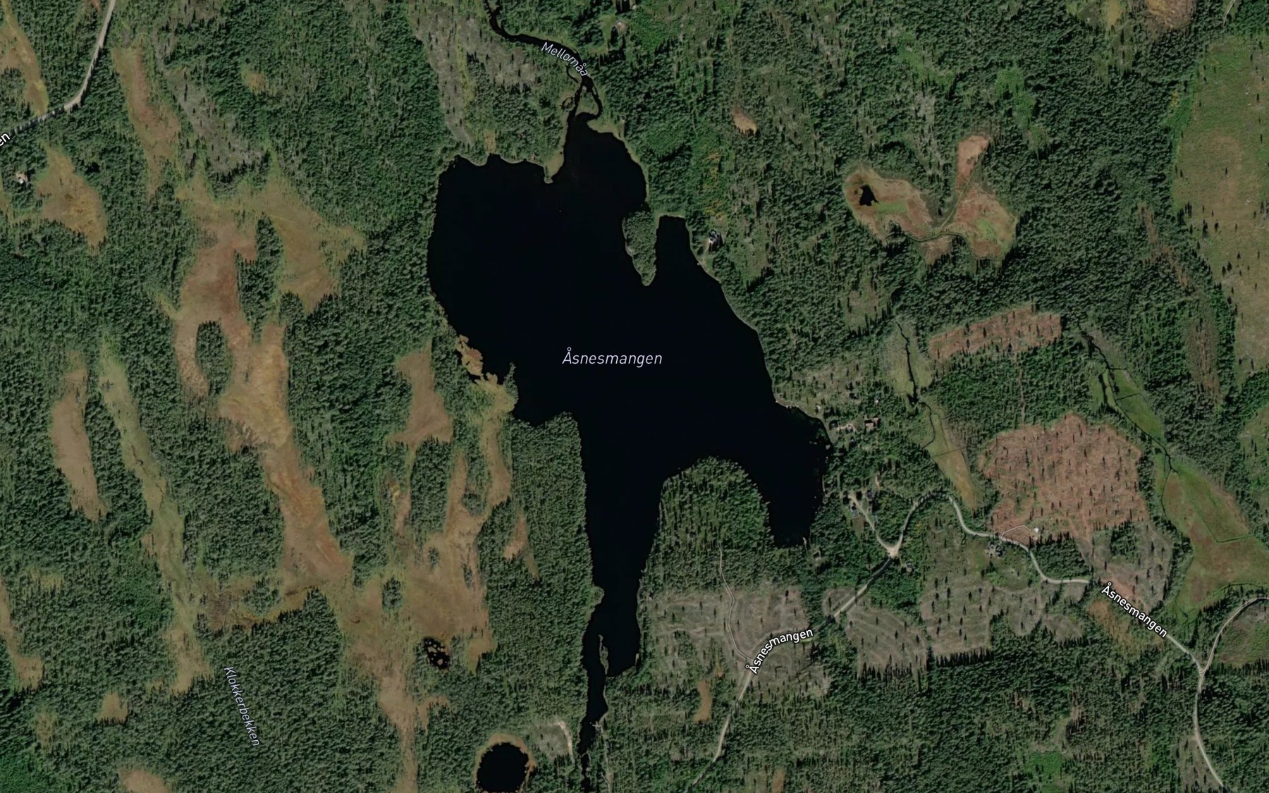 Satellite map of the Asnesmangen