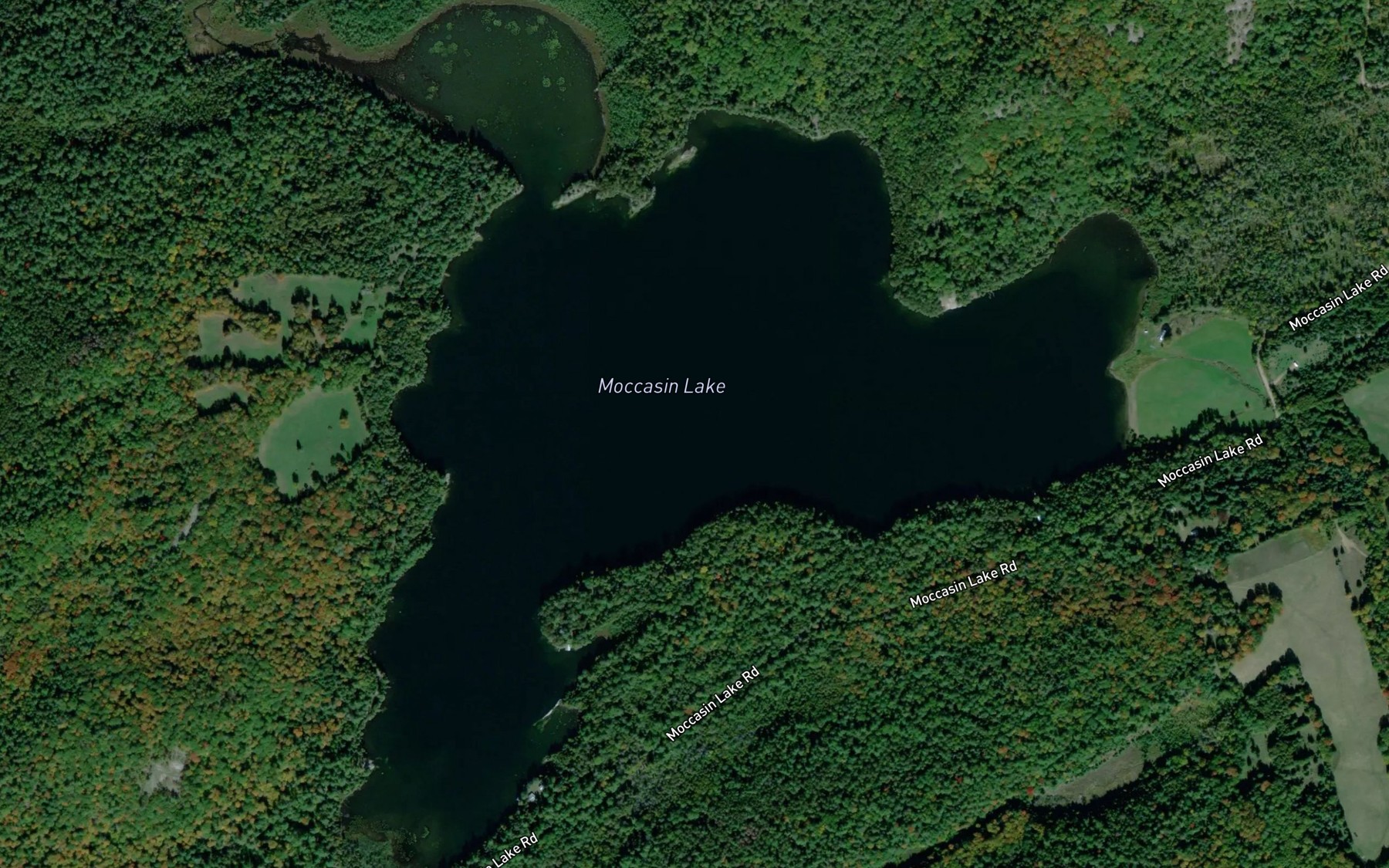 Satellite map of the Moccasin Lake