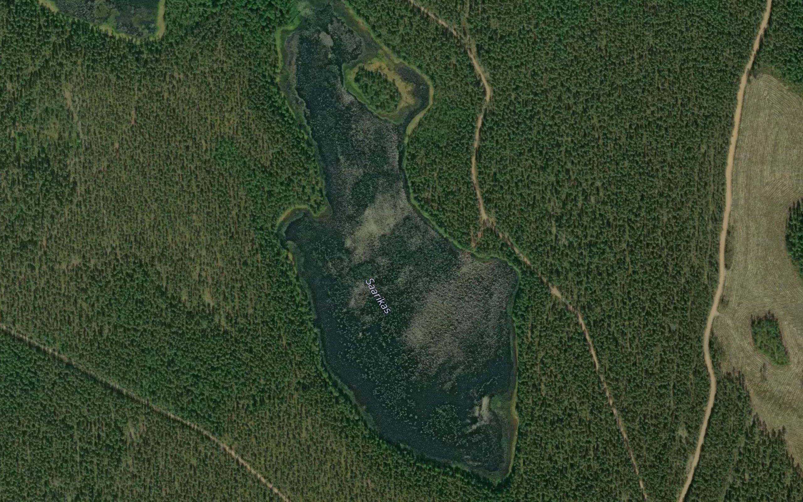 Saarikas