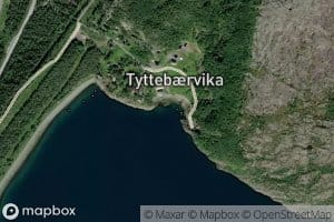 Tyttebaervika