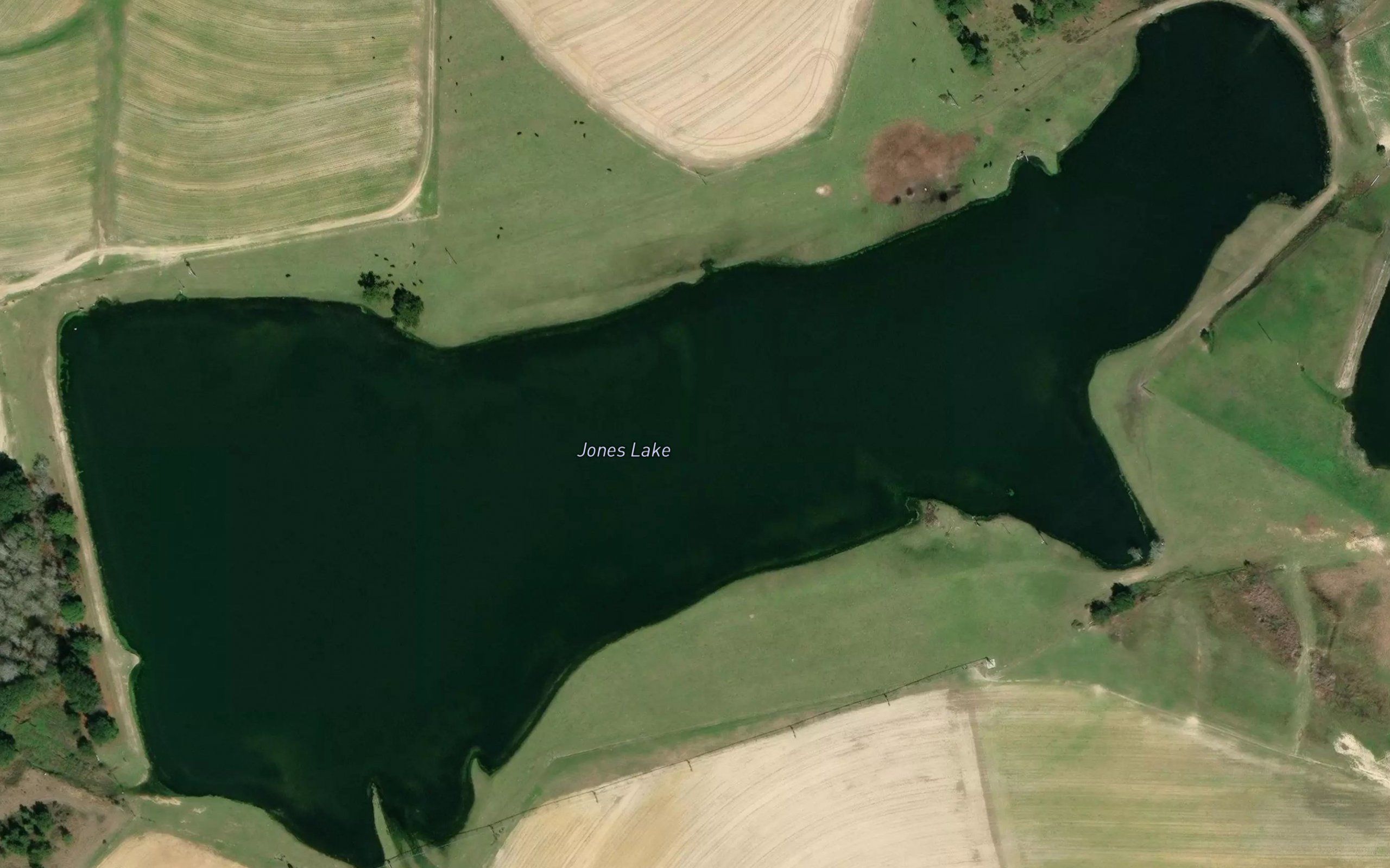 Jones Lake