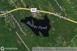 Beaver Pond