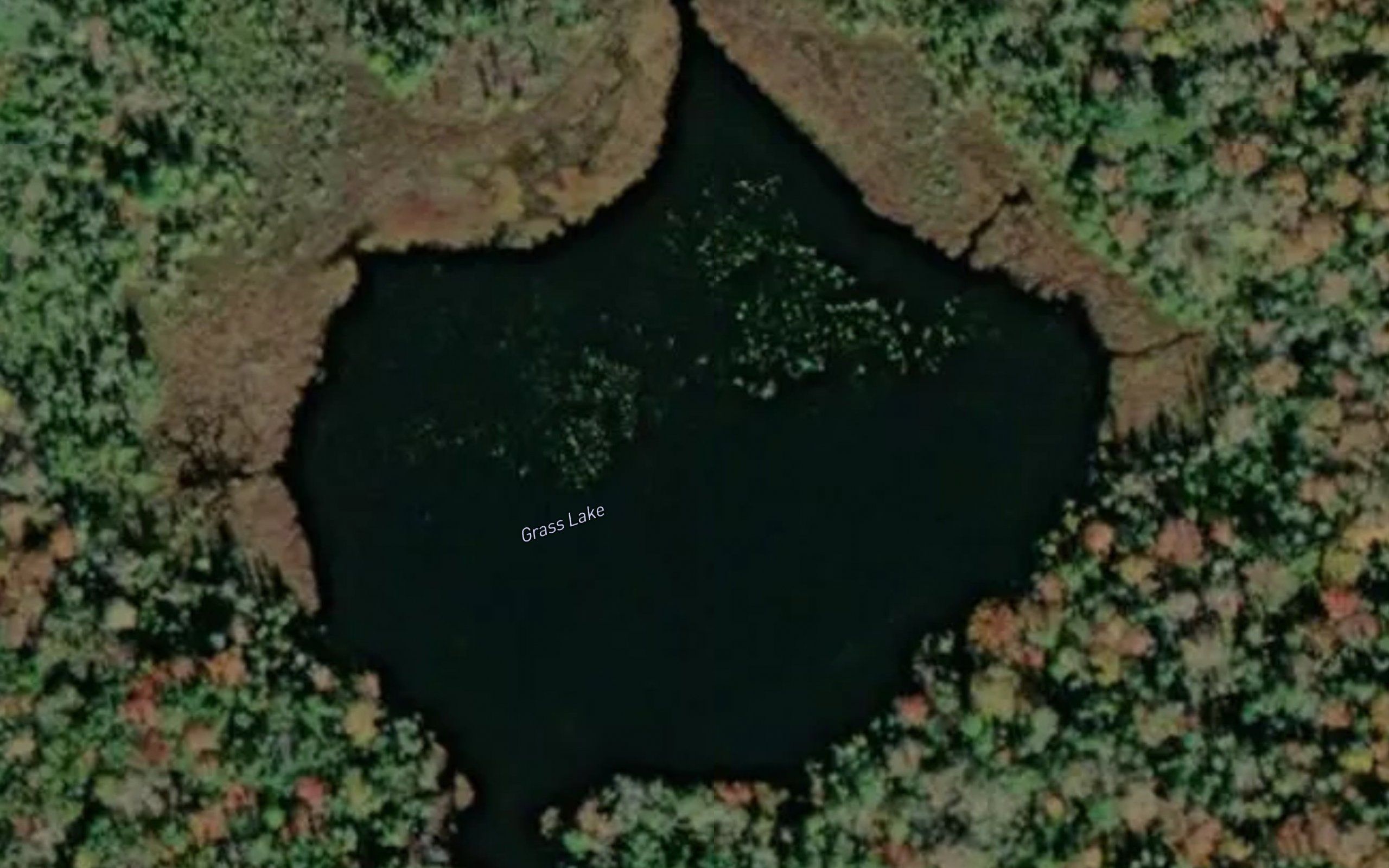 Grass Lake