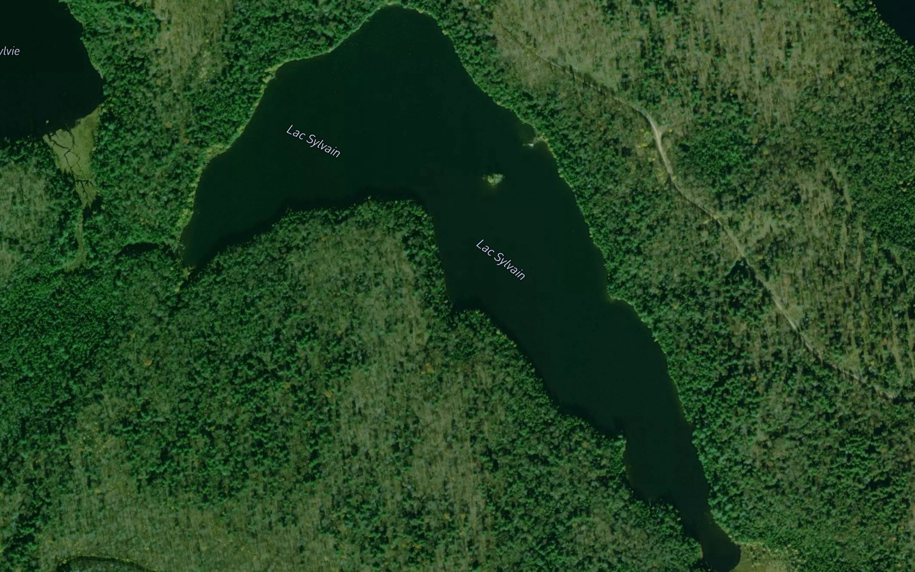 Satellite map of the Lac Sylvain