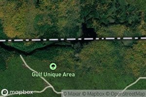 The Gulf