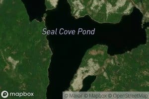 Heart's Content Long Pond