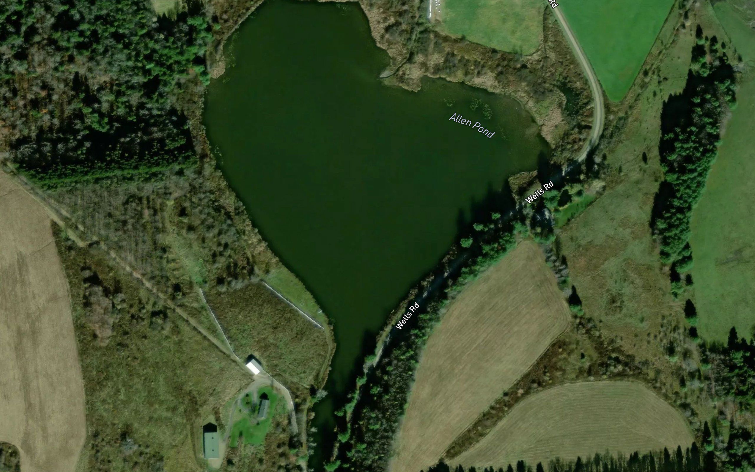 Allen Pond