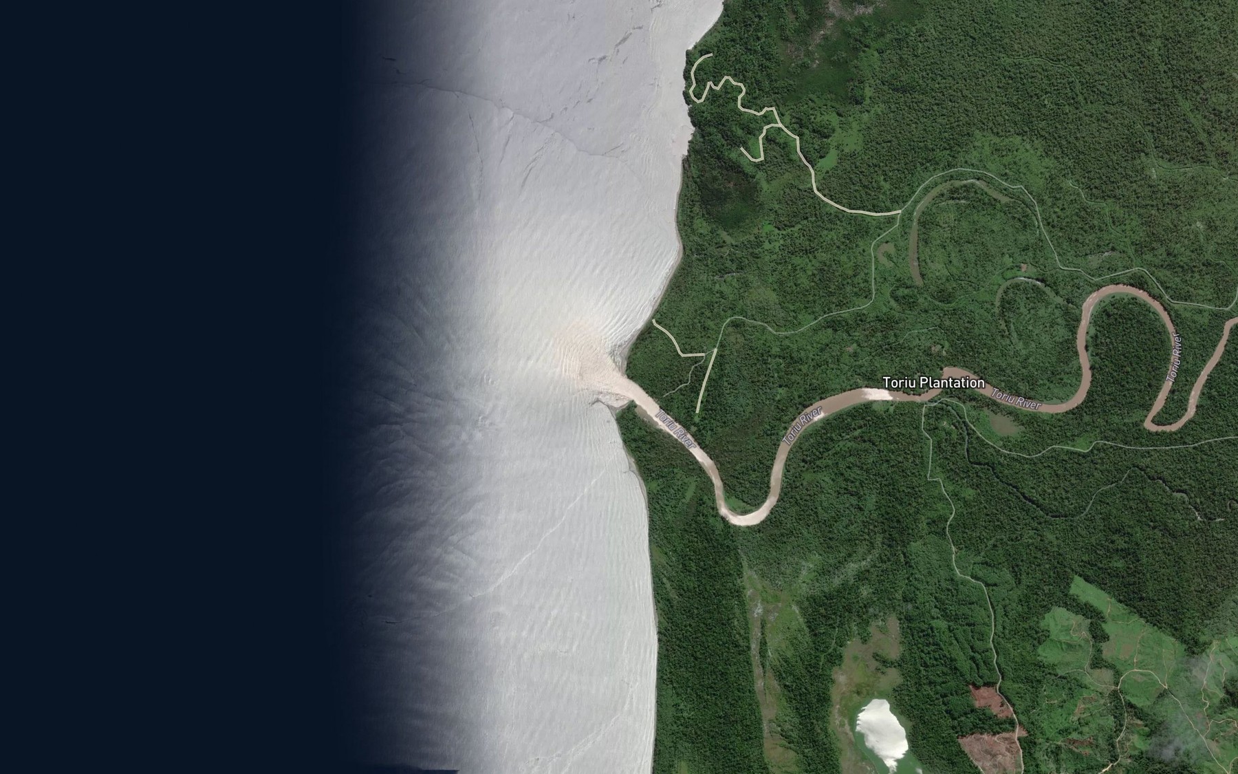 Satellite map of the Toriu River