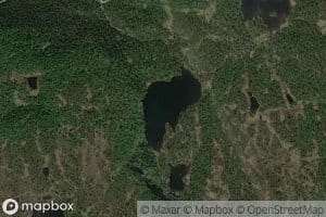 Svartetjonn