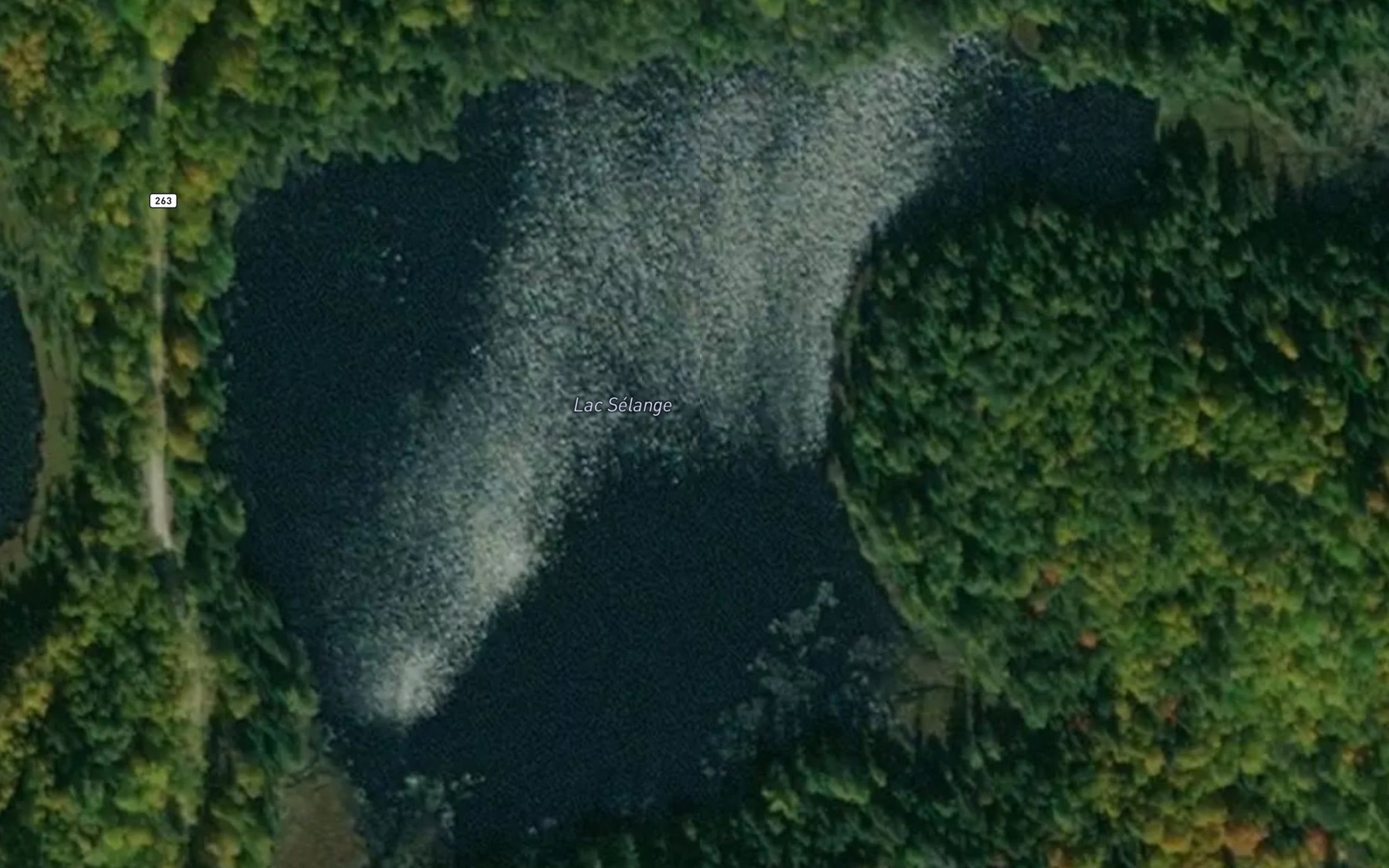 Satellite map of the Lac Selange