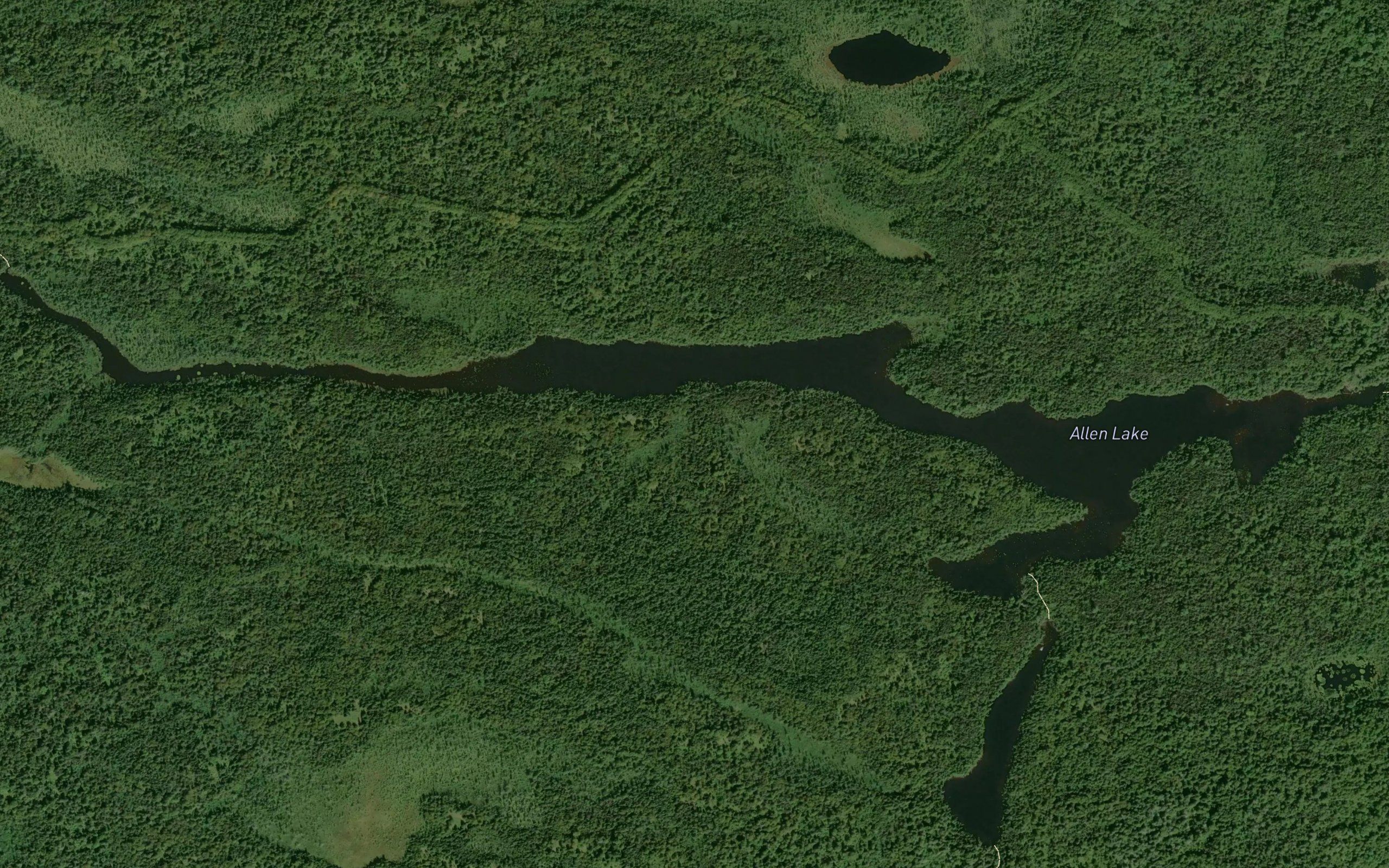 Allen Lake