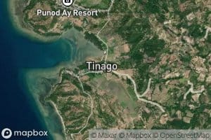 Tinago River