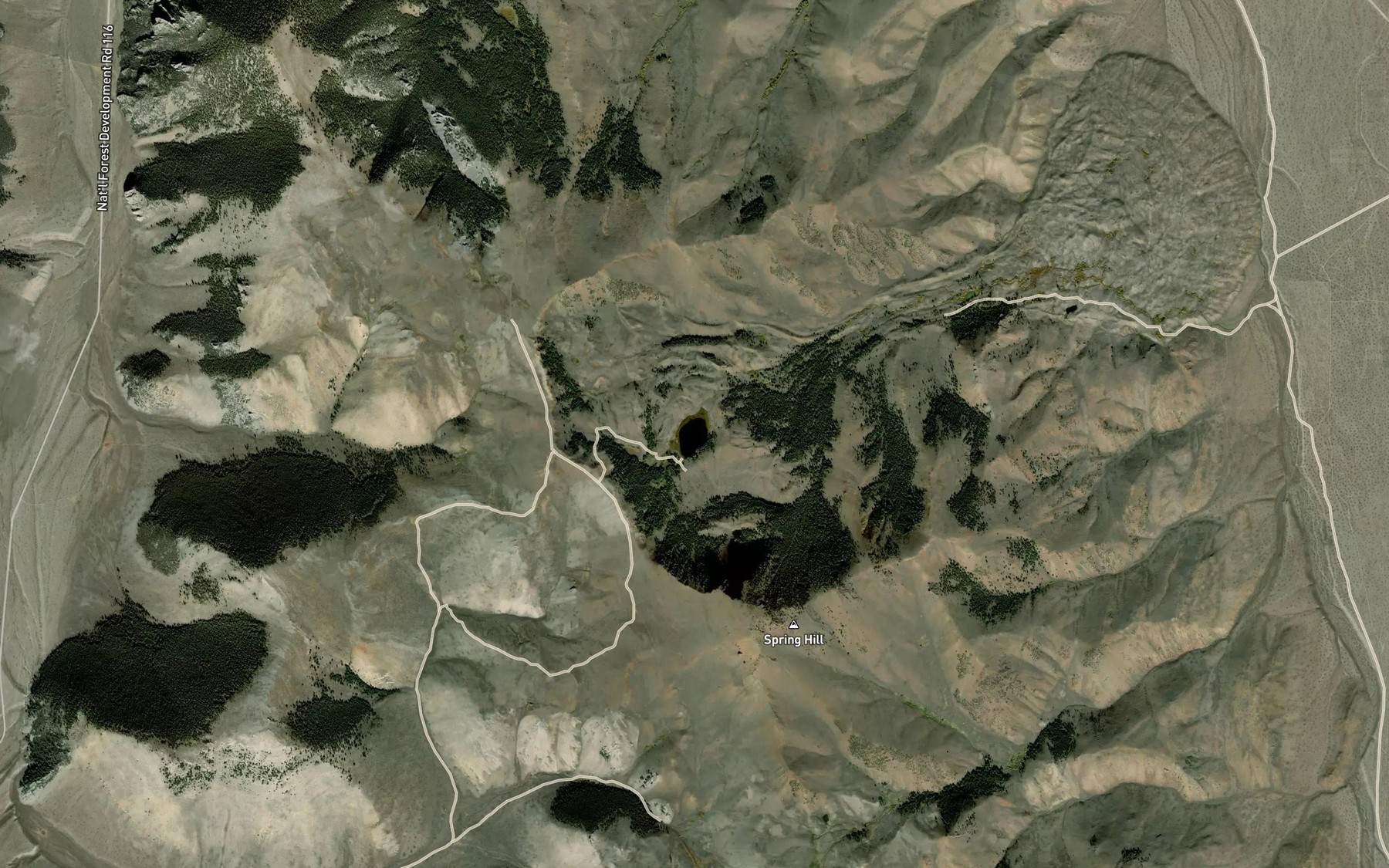 Satellite map of the Carlson Lake