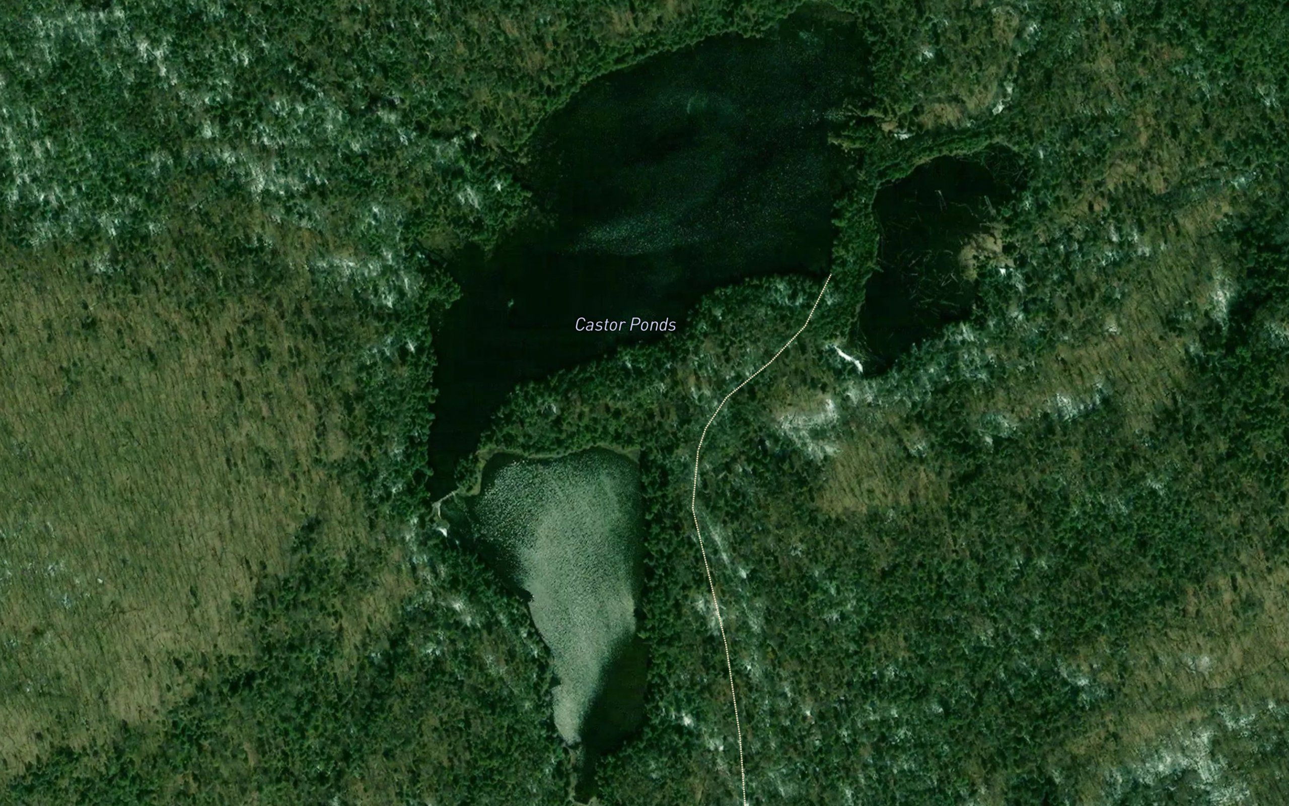 Castor Ponds