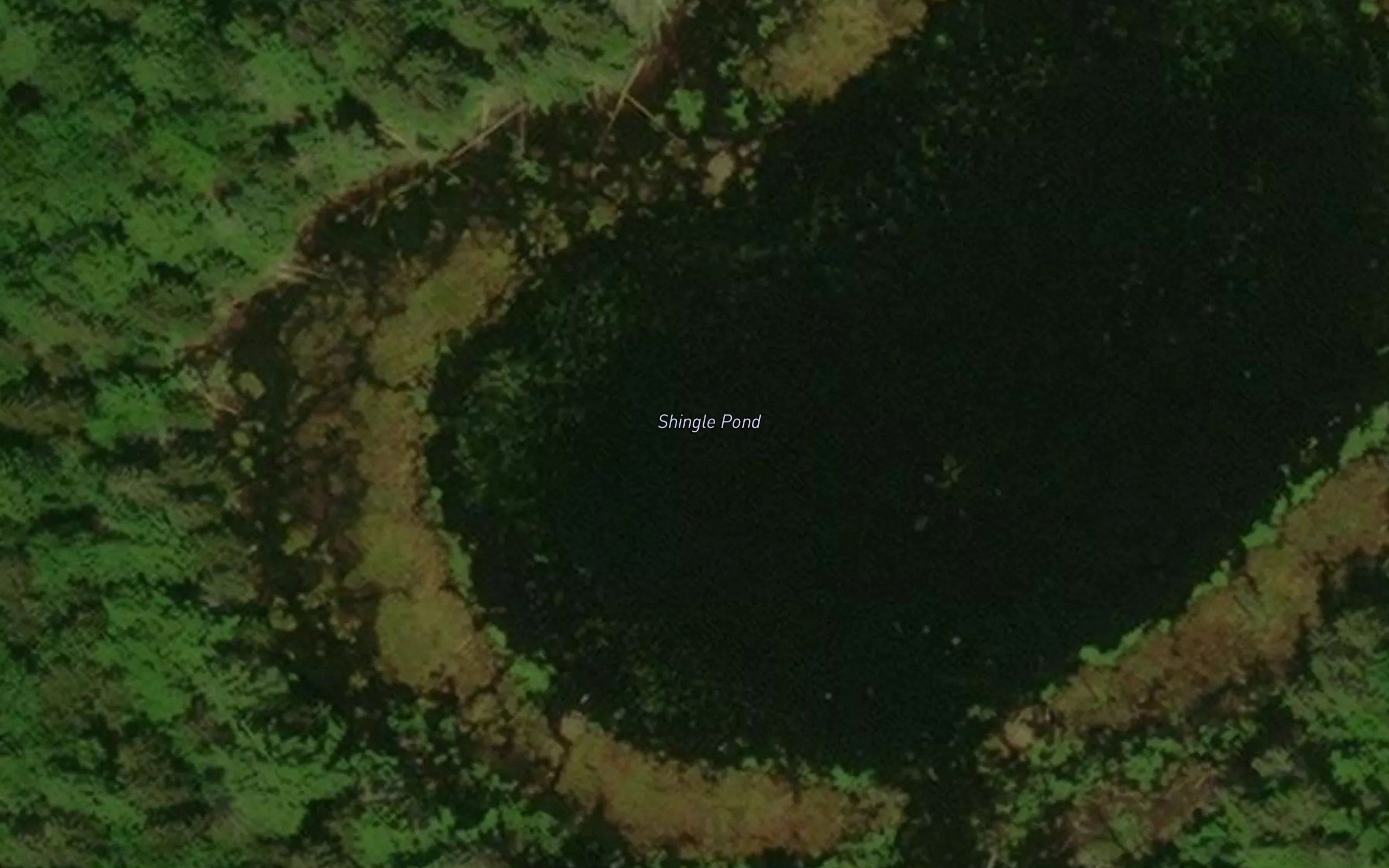 Shingle Pond