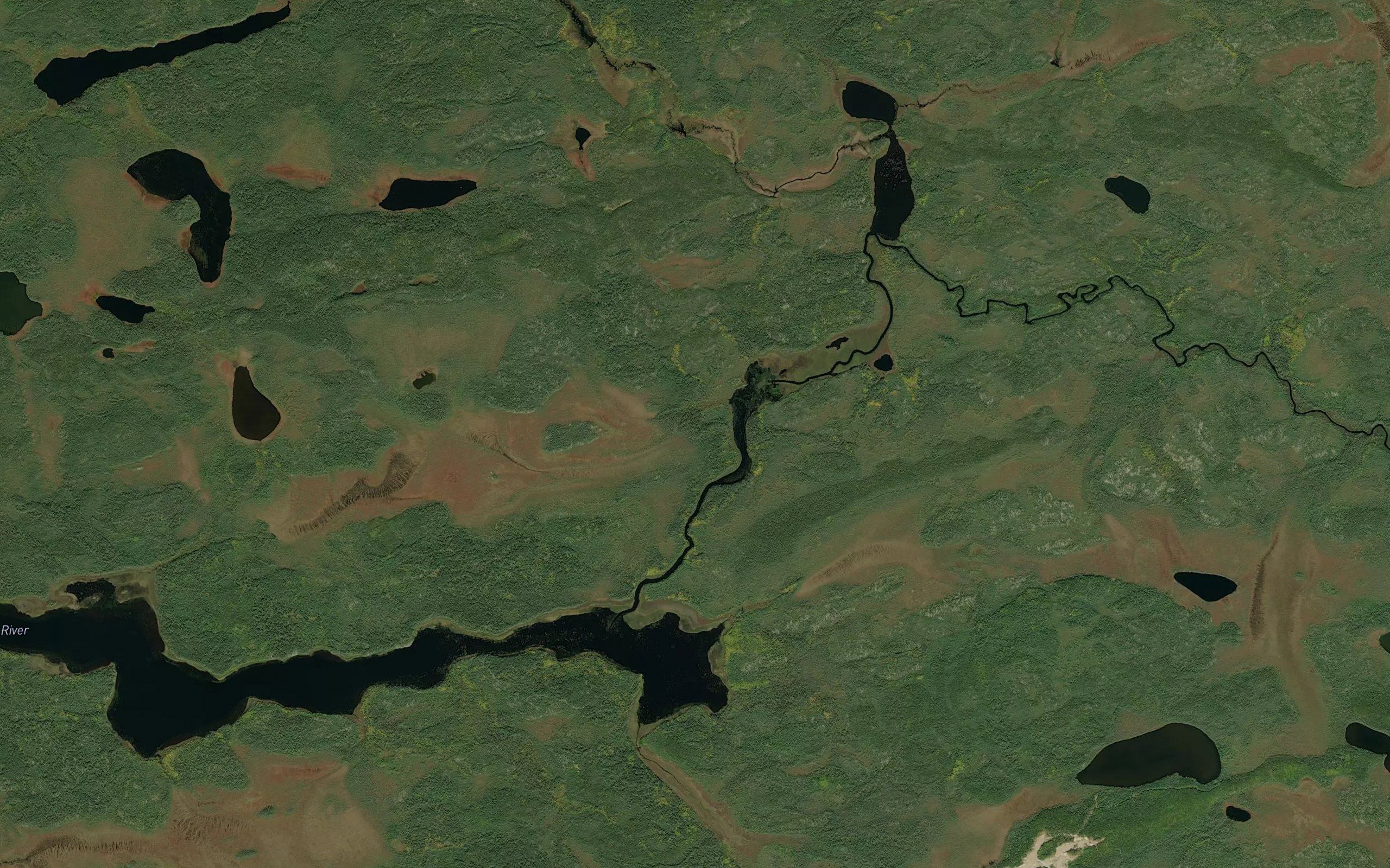 Little Cat River