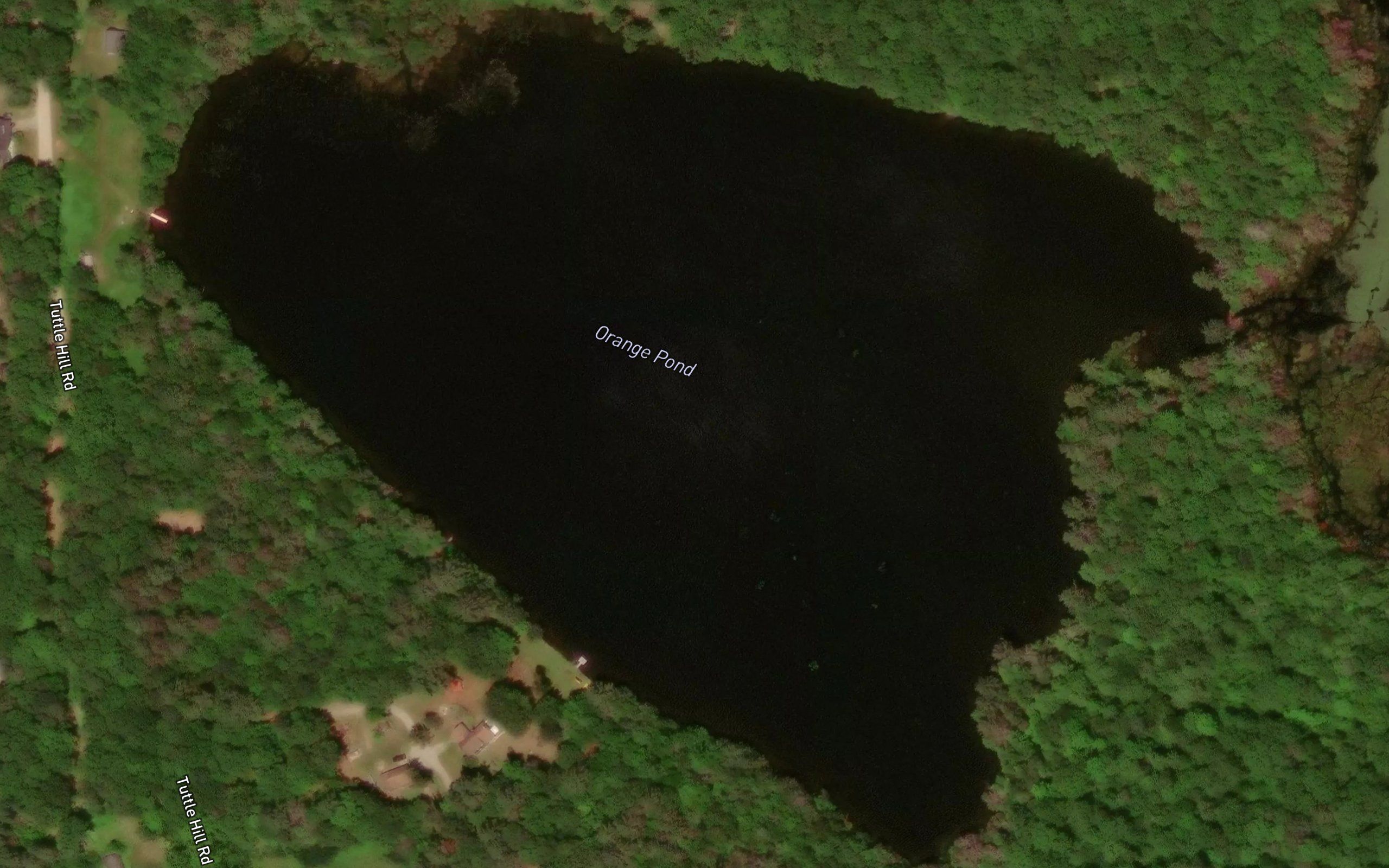 Orange Pond