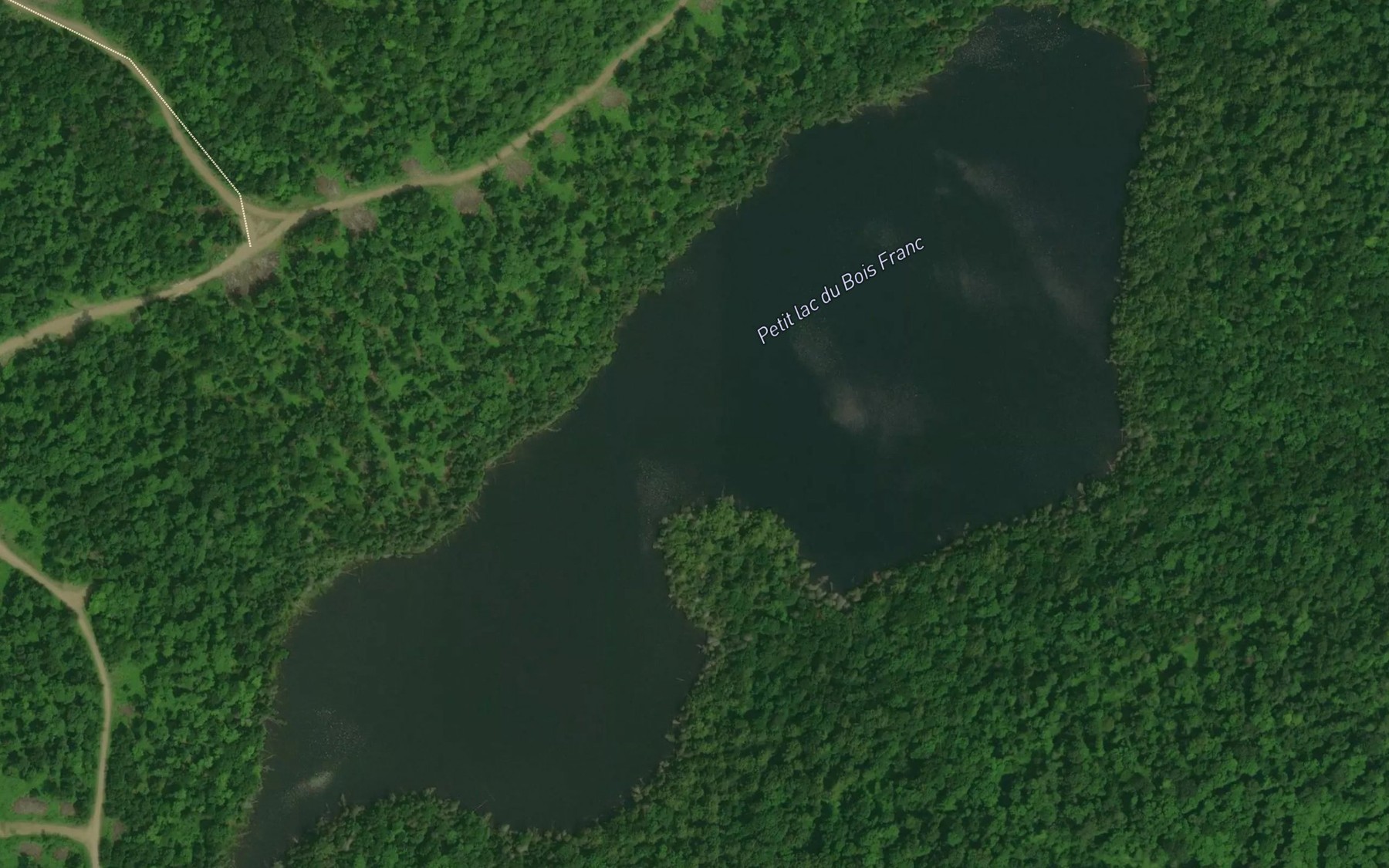 Satellite map of the Petit lac du Bois Franc