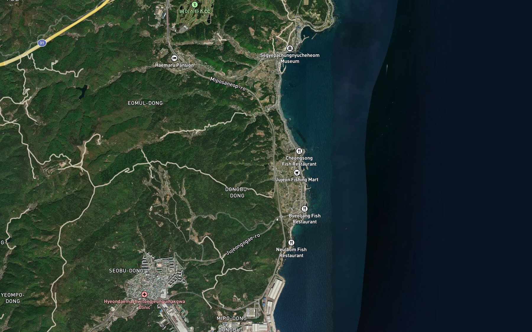 Satellite map of the Honggolmot