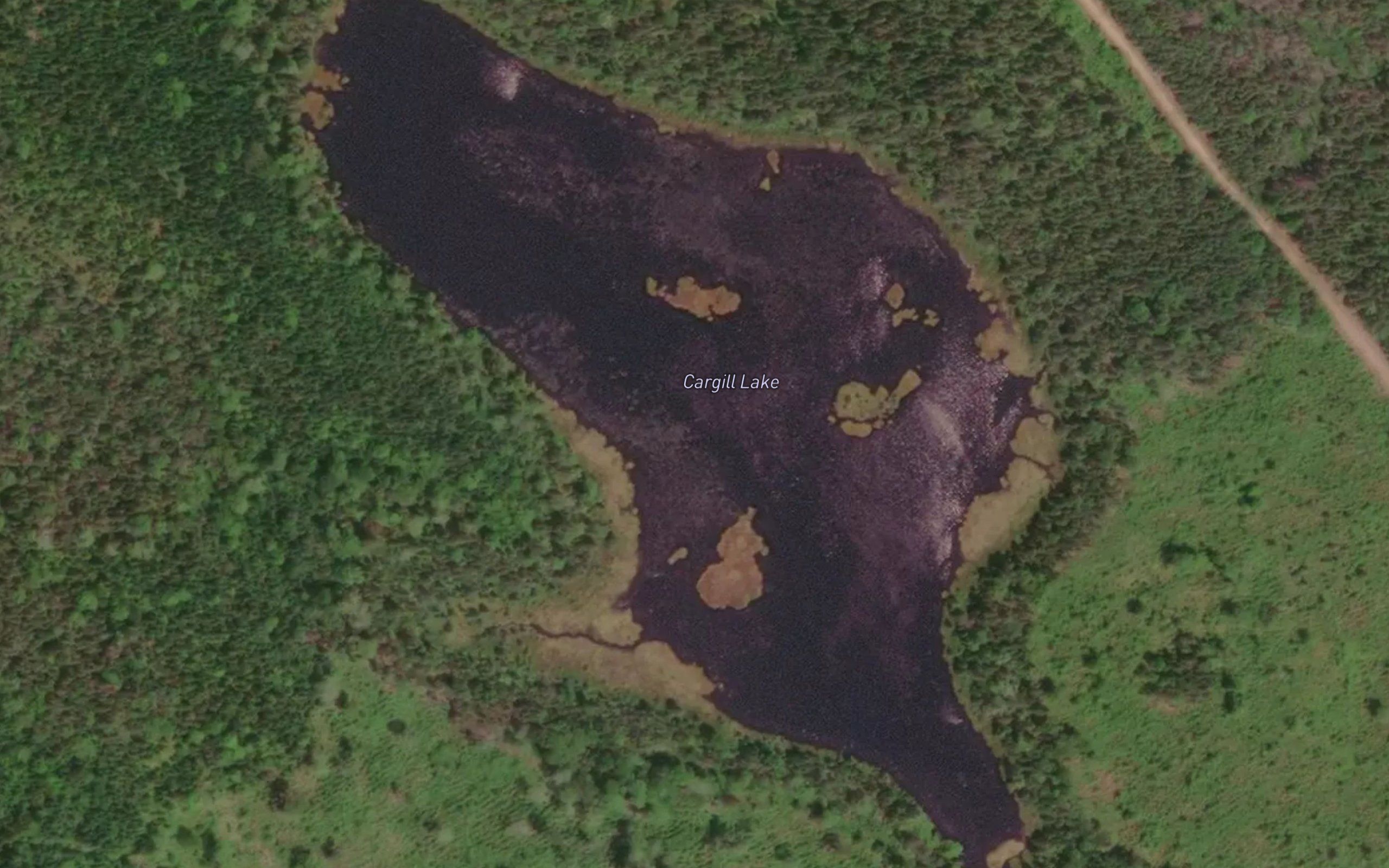 Cargill Lake