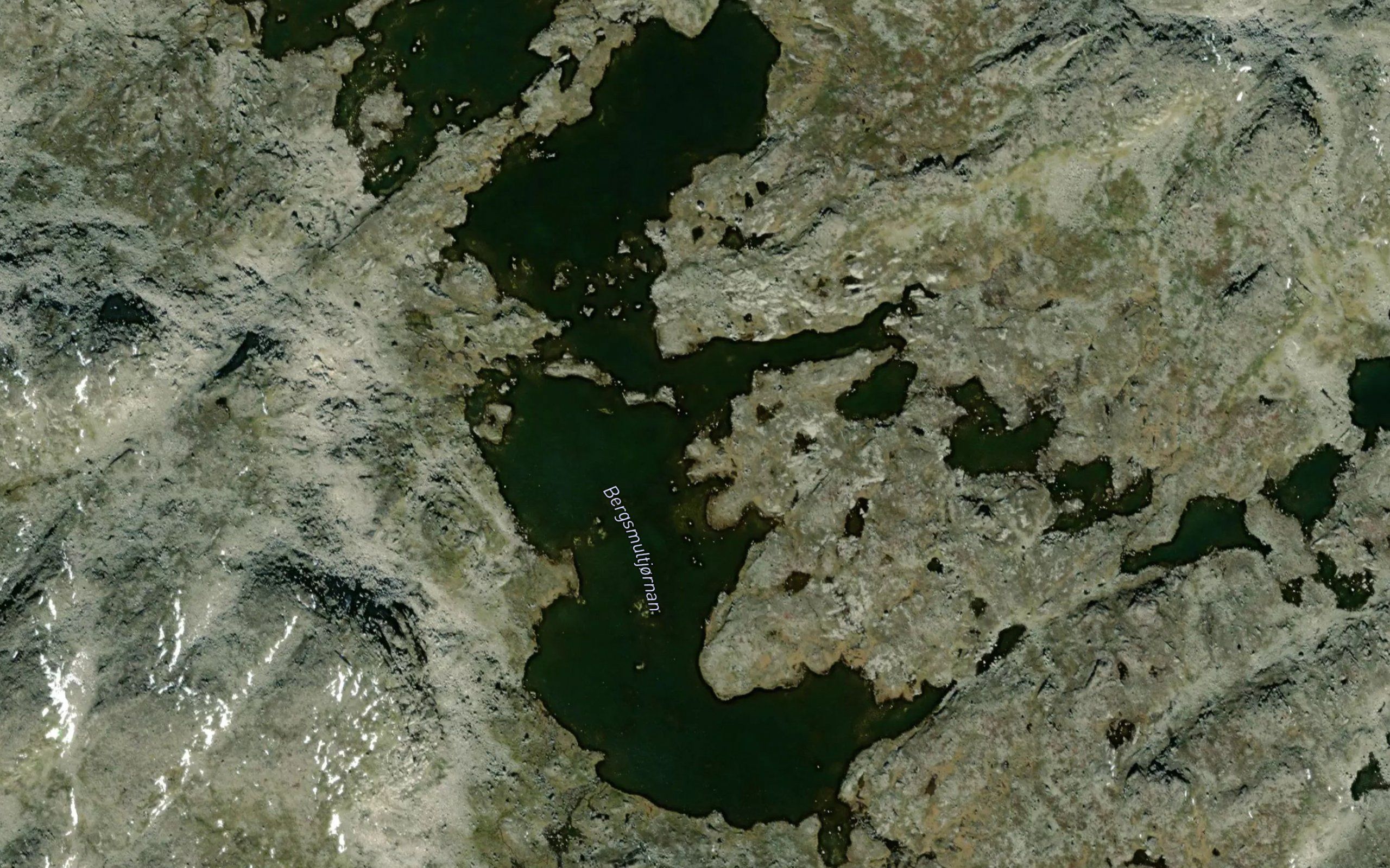 Bergsmultjornan