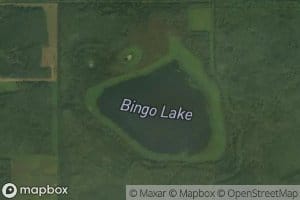 Bingo Lake