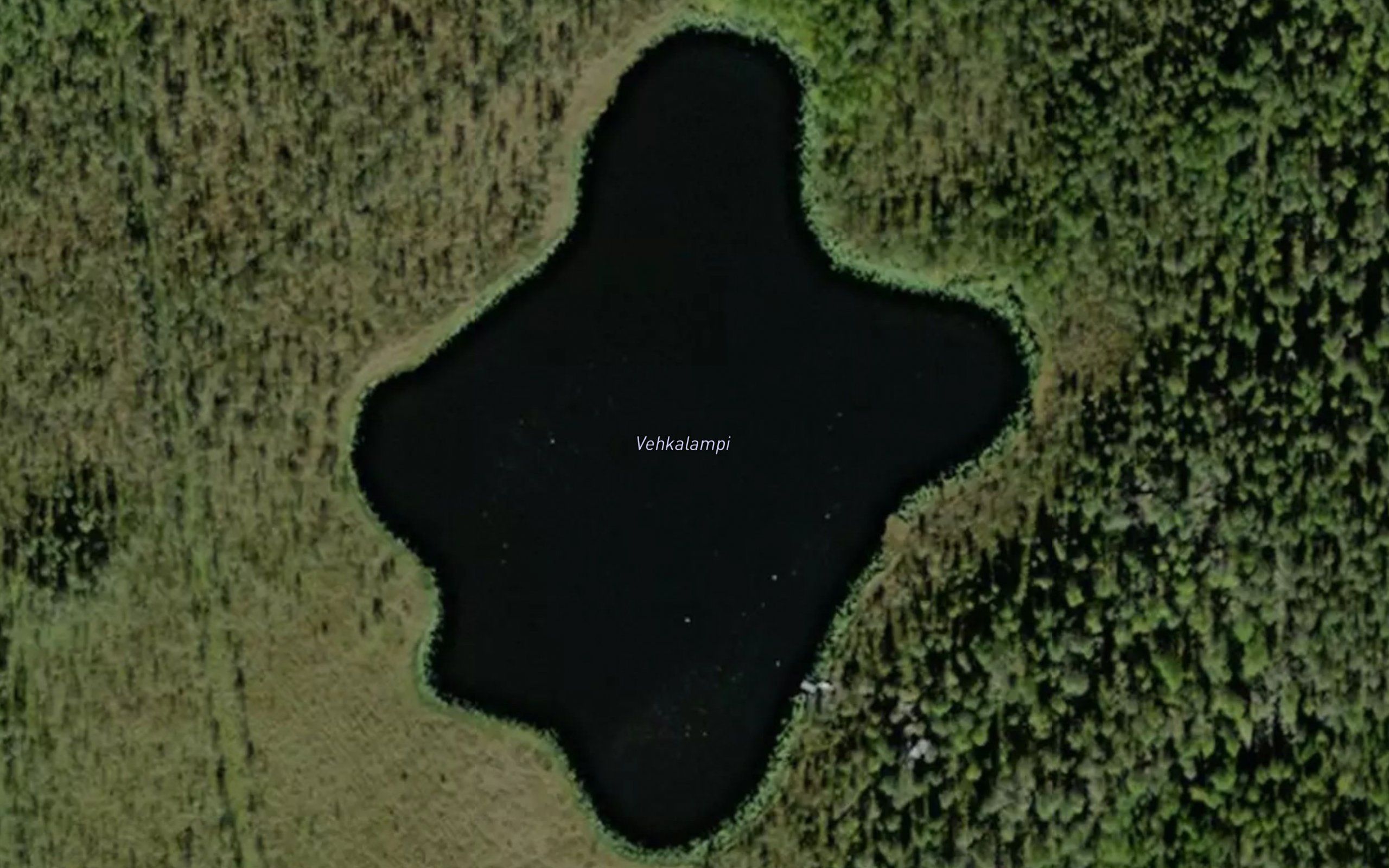 Vehkalampi