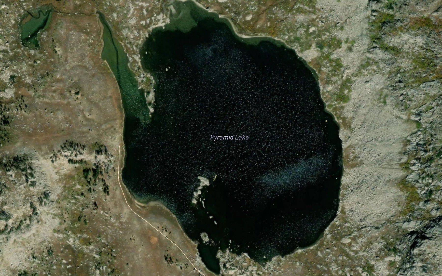 Satellite map of the Pyramid Lake