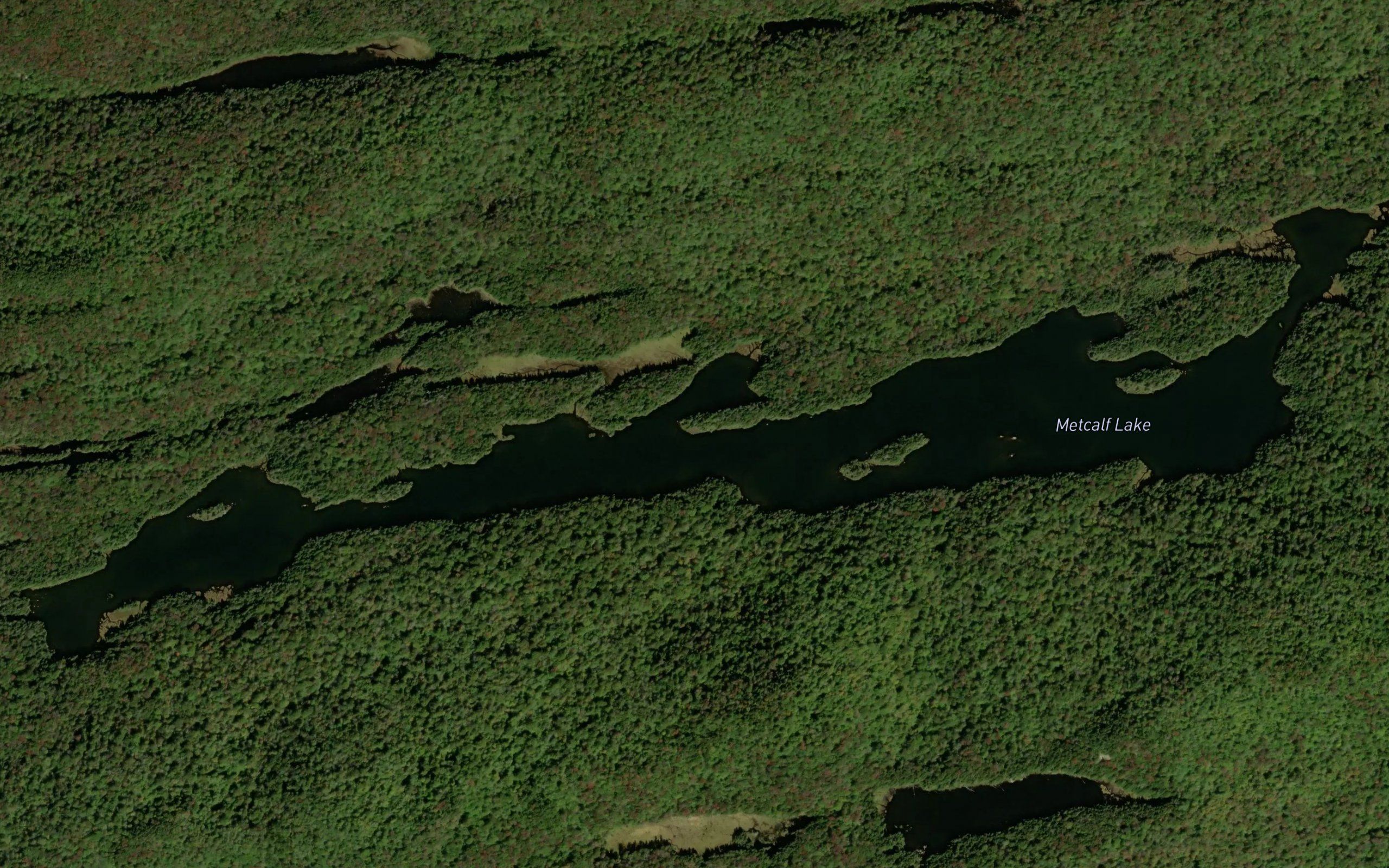 Metcalf Lake