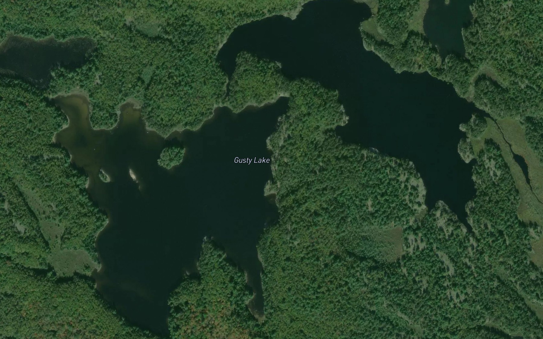 Satellite map of the Gusty Lake