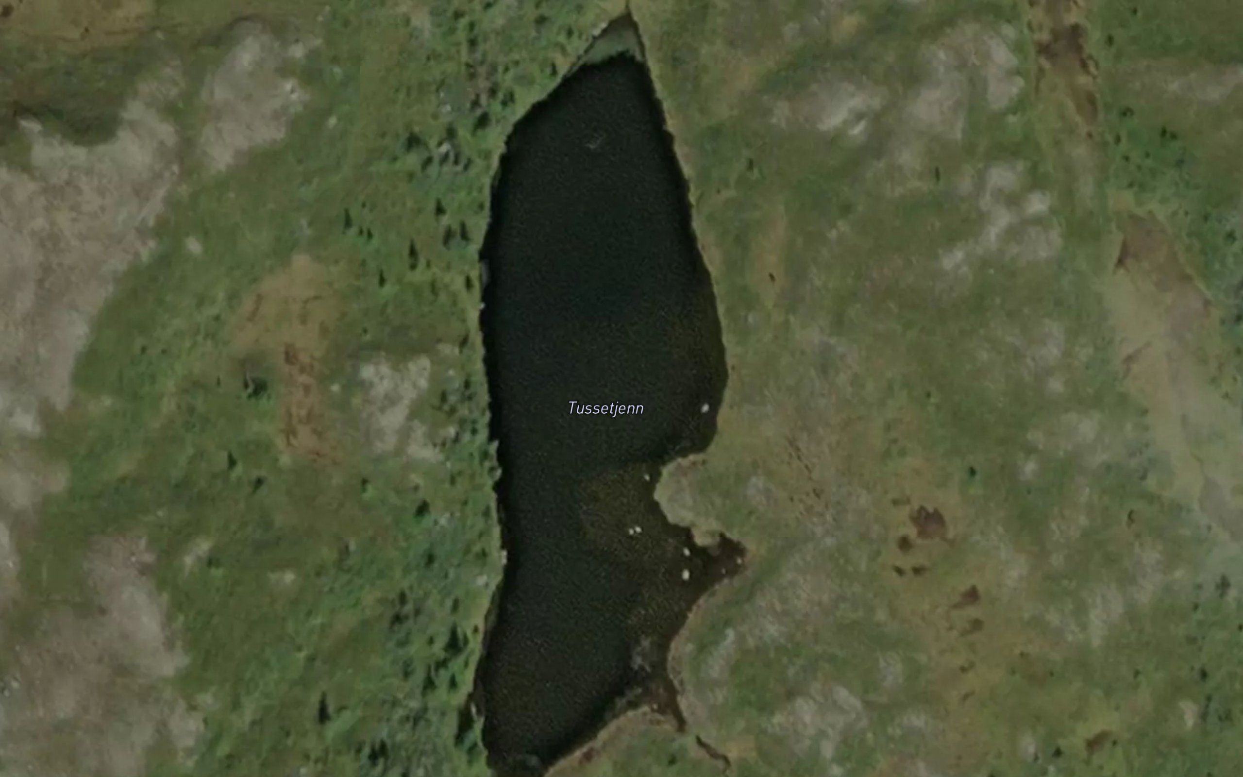 Tussetjern