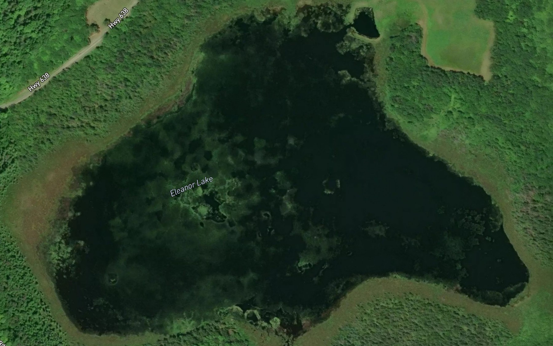 Satellite map of the Eleanor Lake