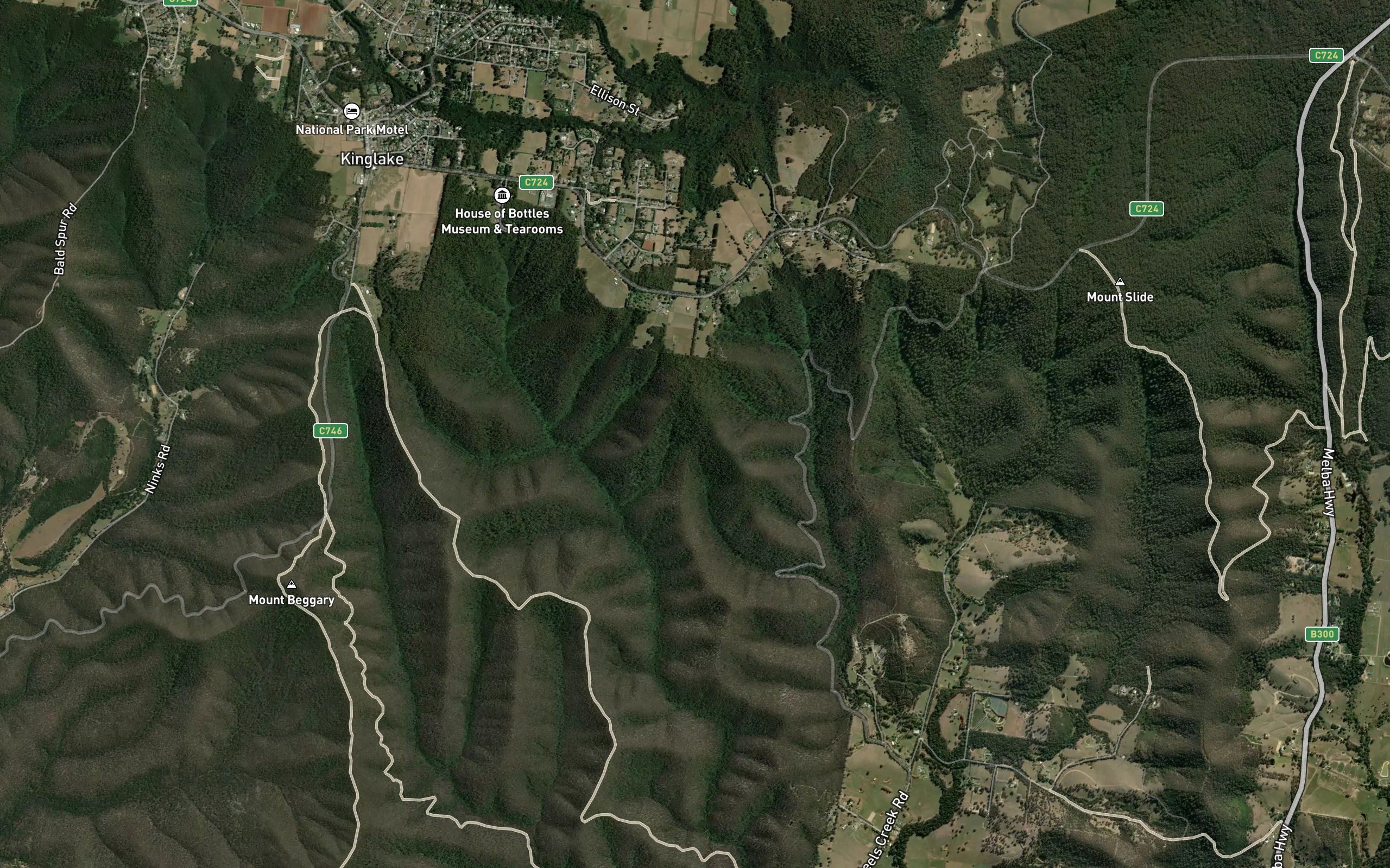 Lyrebird Gully
