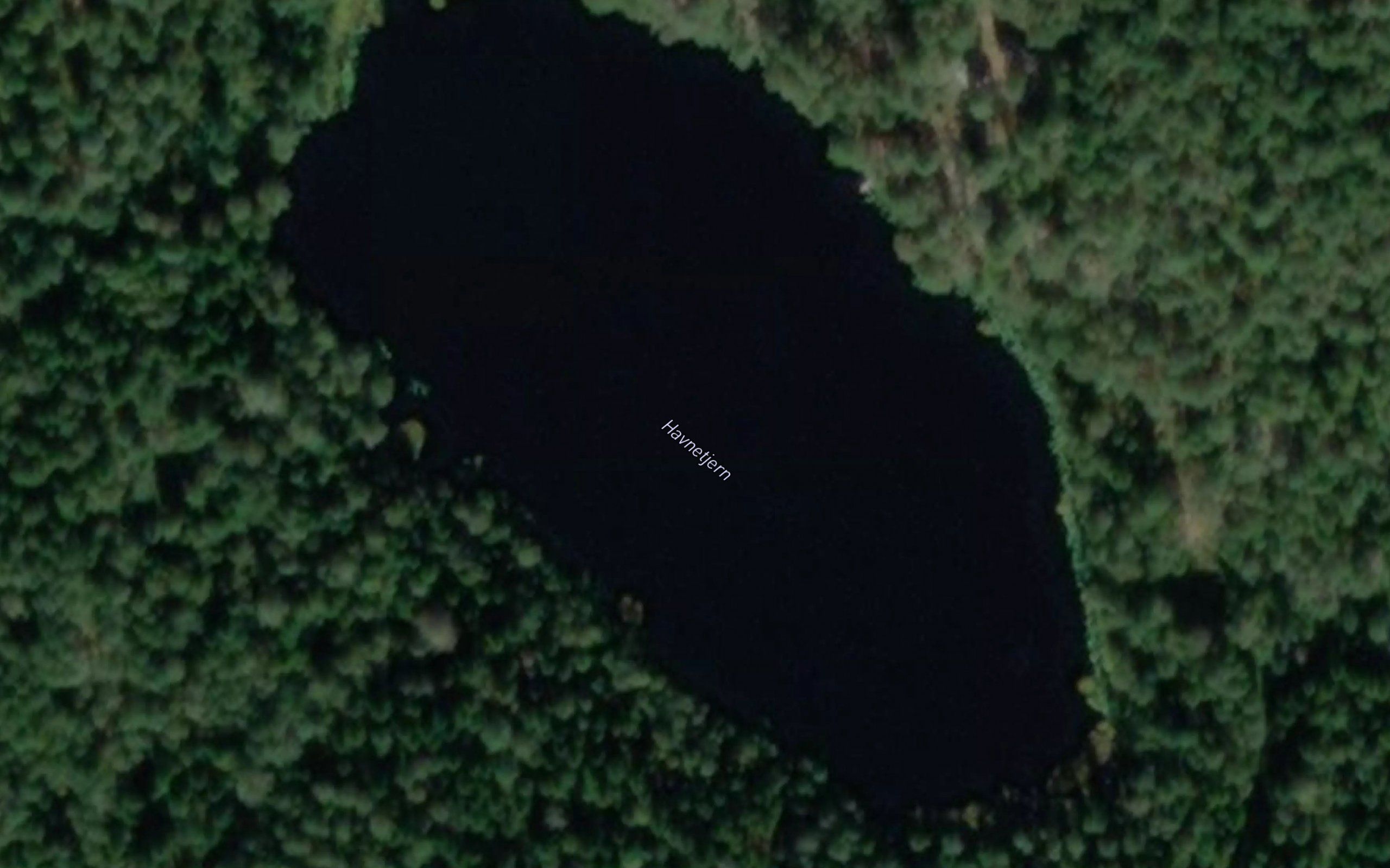 Hamnetjern