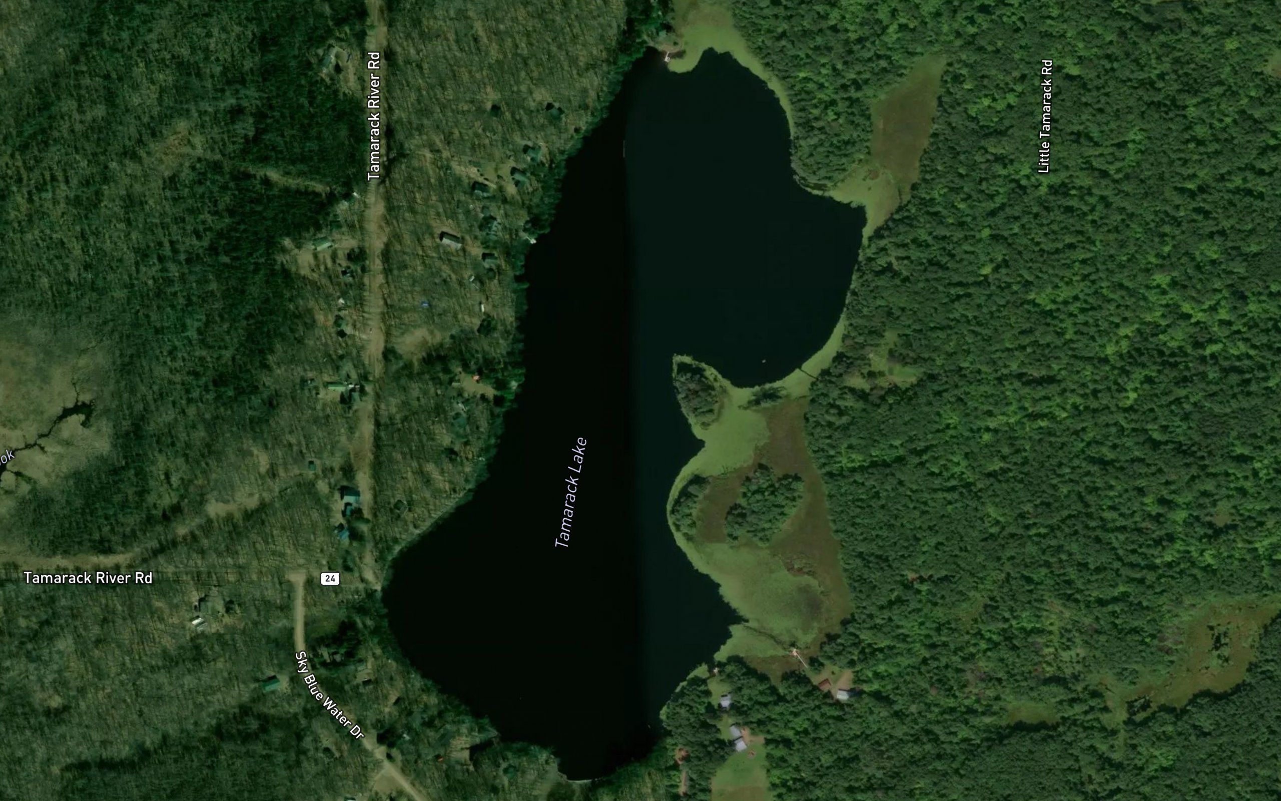 Tamarack Lake