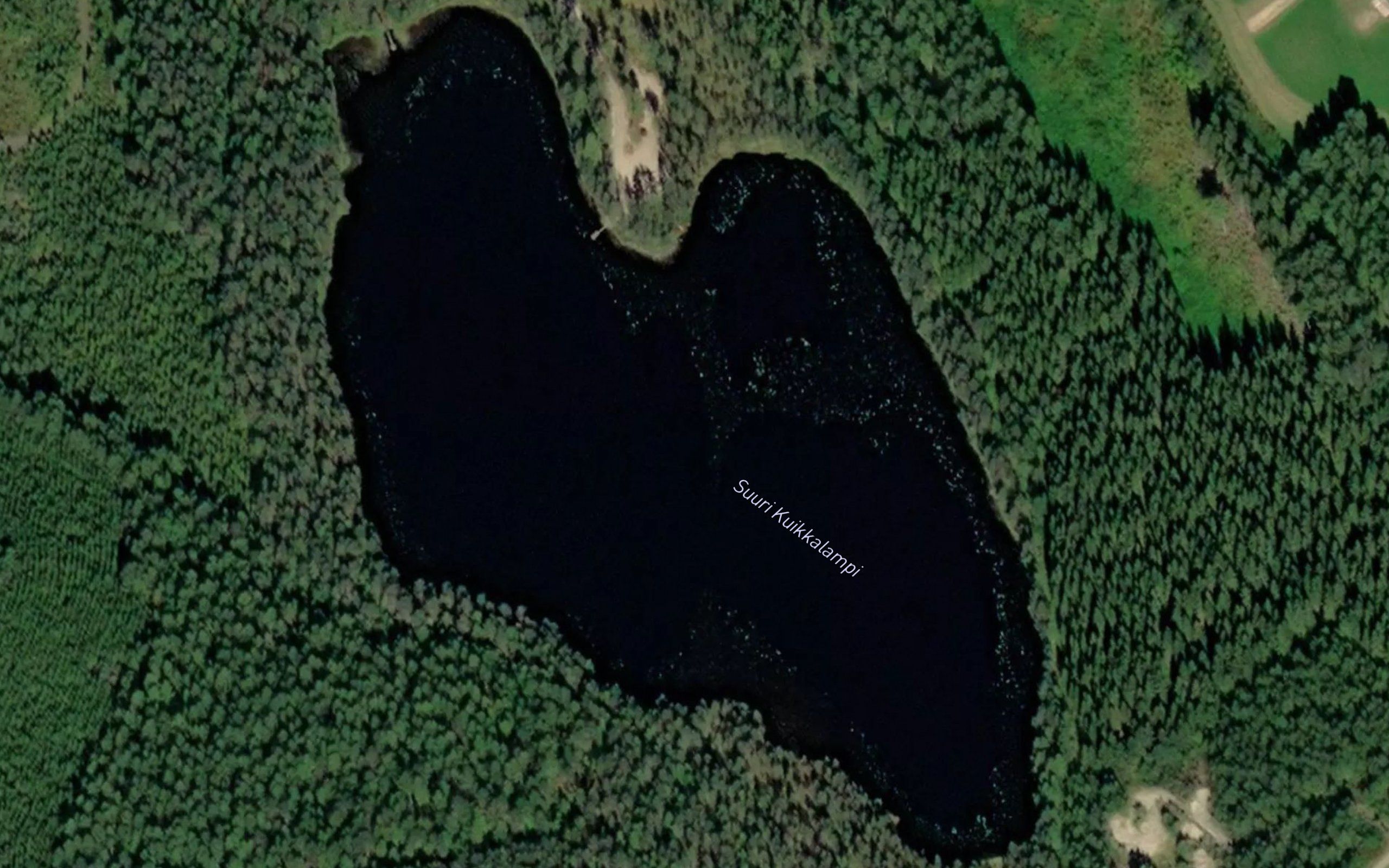Suuri Kuikkalampi