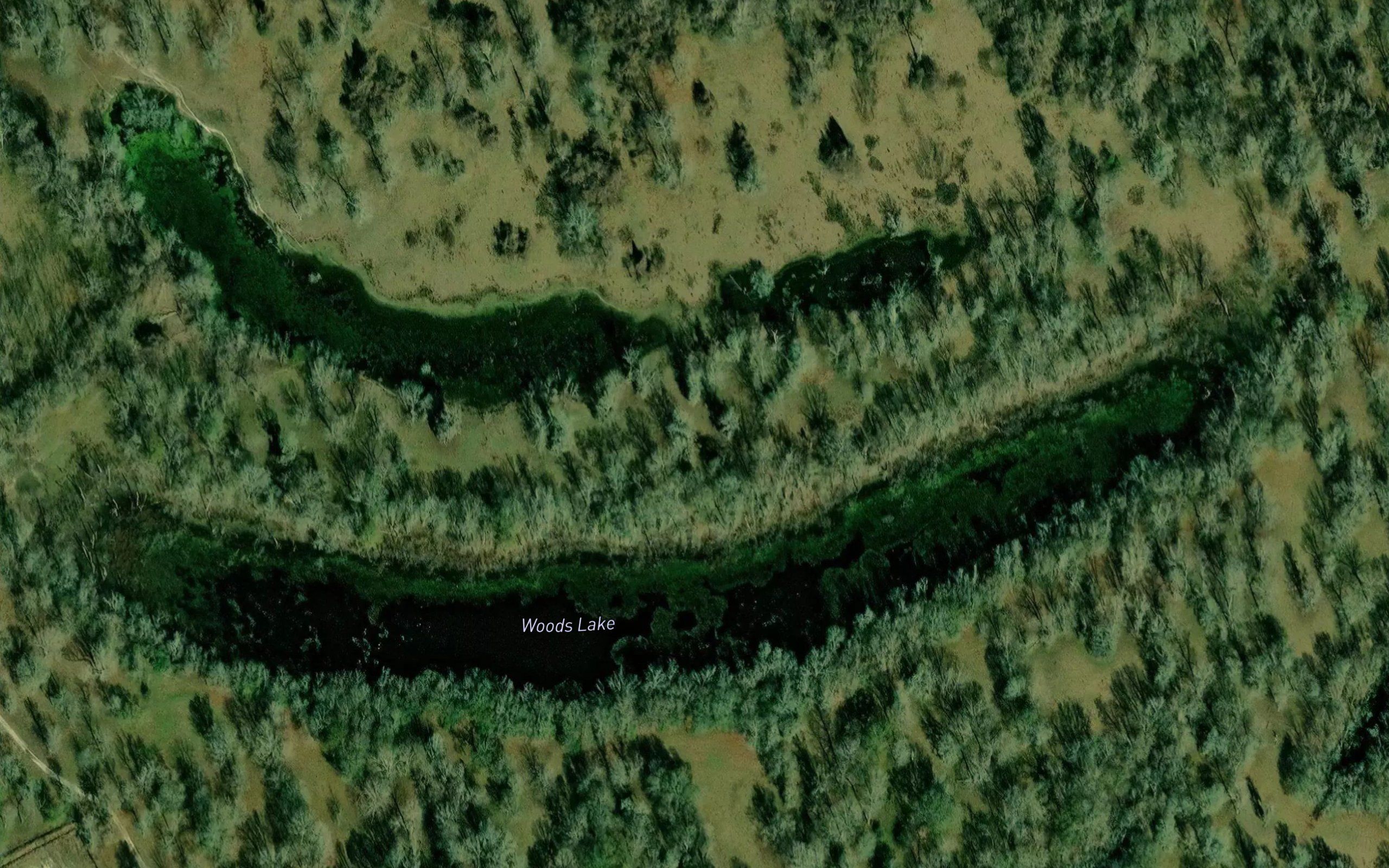 Woods Lake