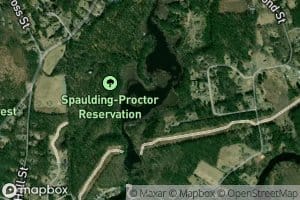 Lower Massapoag Pond