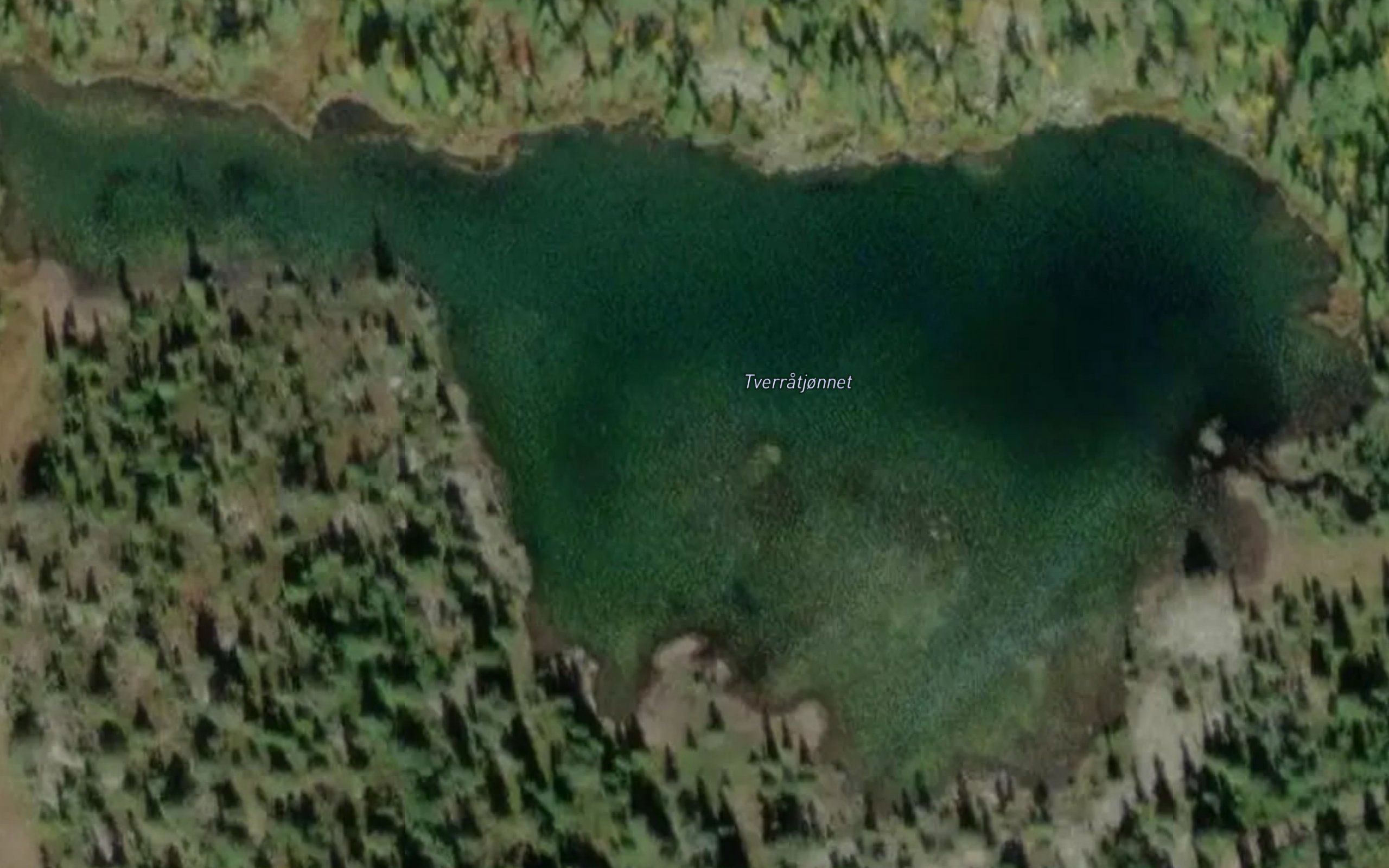 Tveratjornet