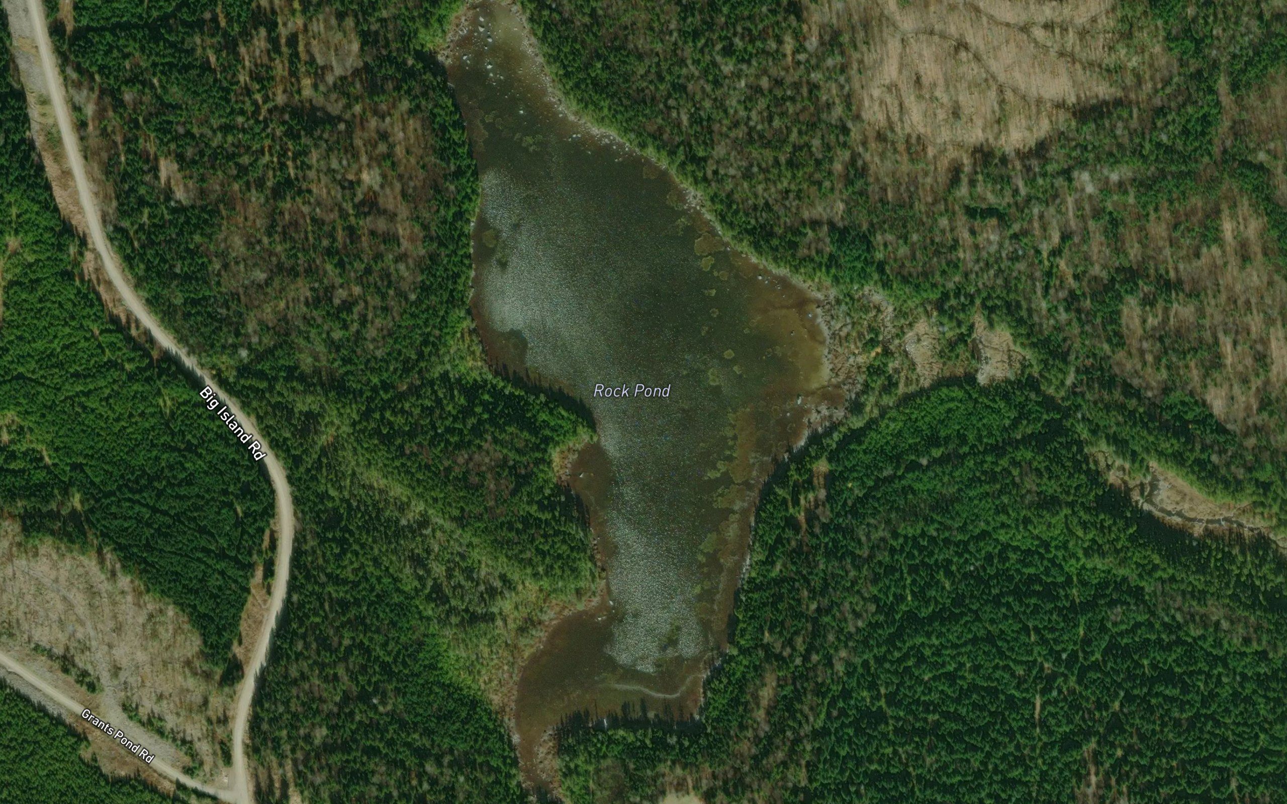 Rock Pond