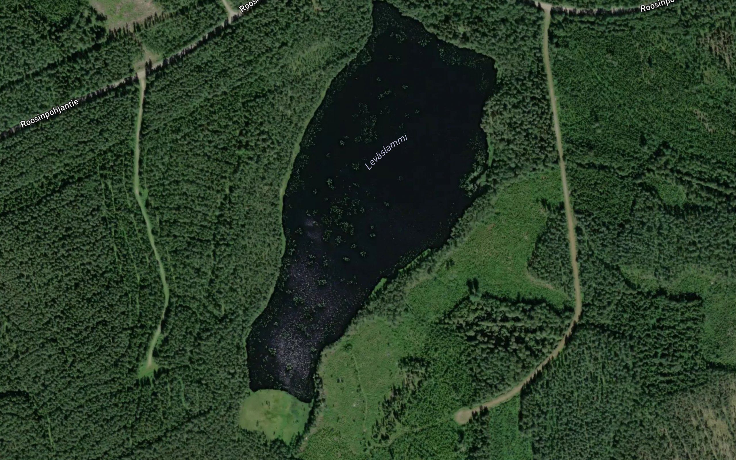 Levaslammi