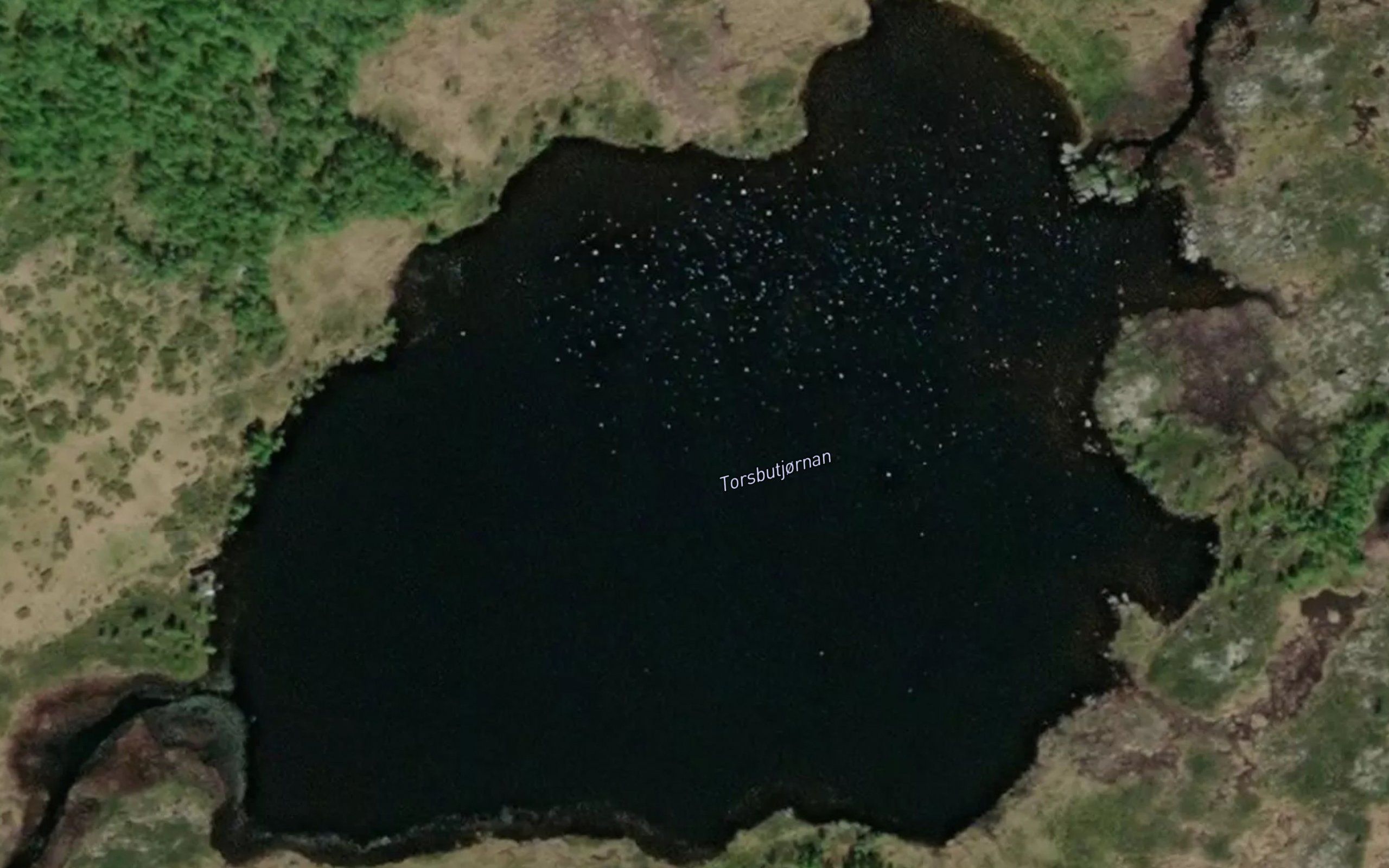 Torsbutjornan